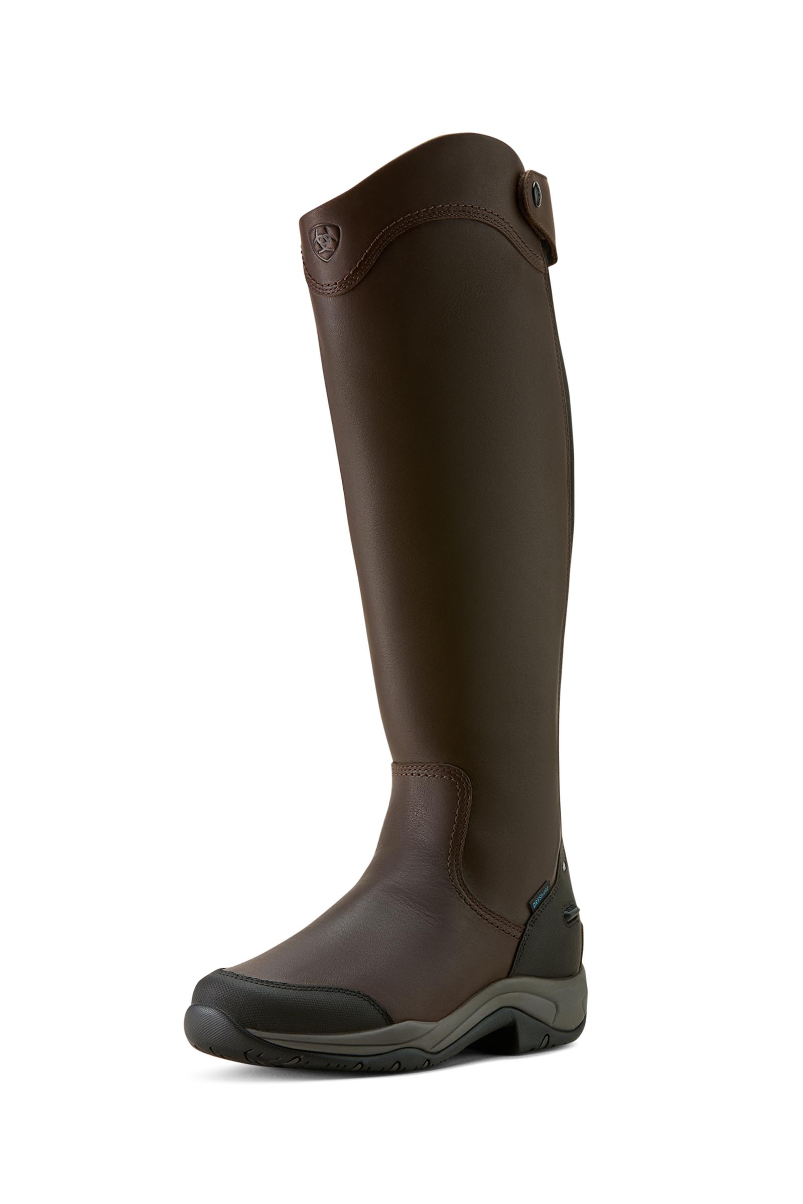 Dark Brown Ariat Telluride H2O stivali alti da donna