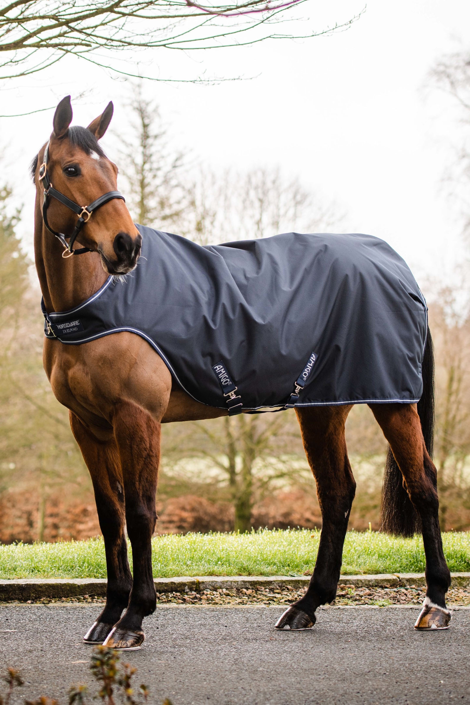 Horseware Amigo coperta da walker, 100g