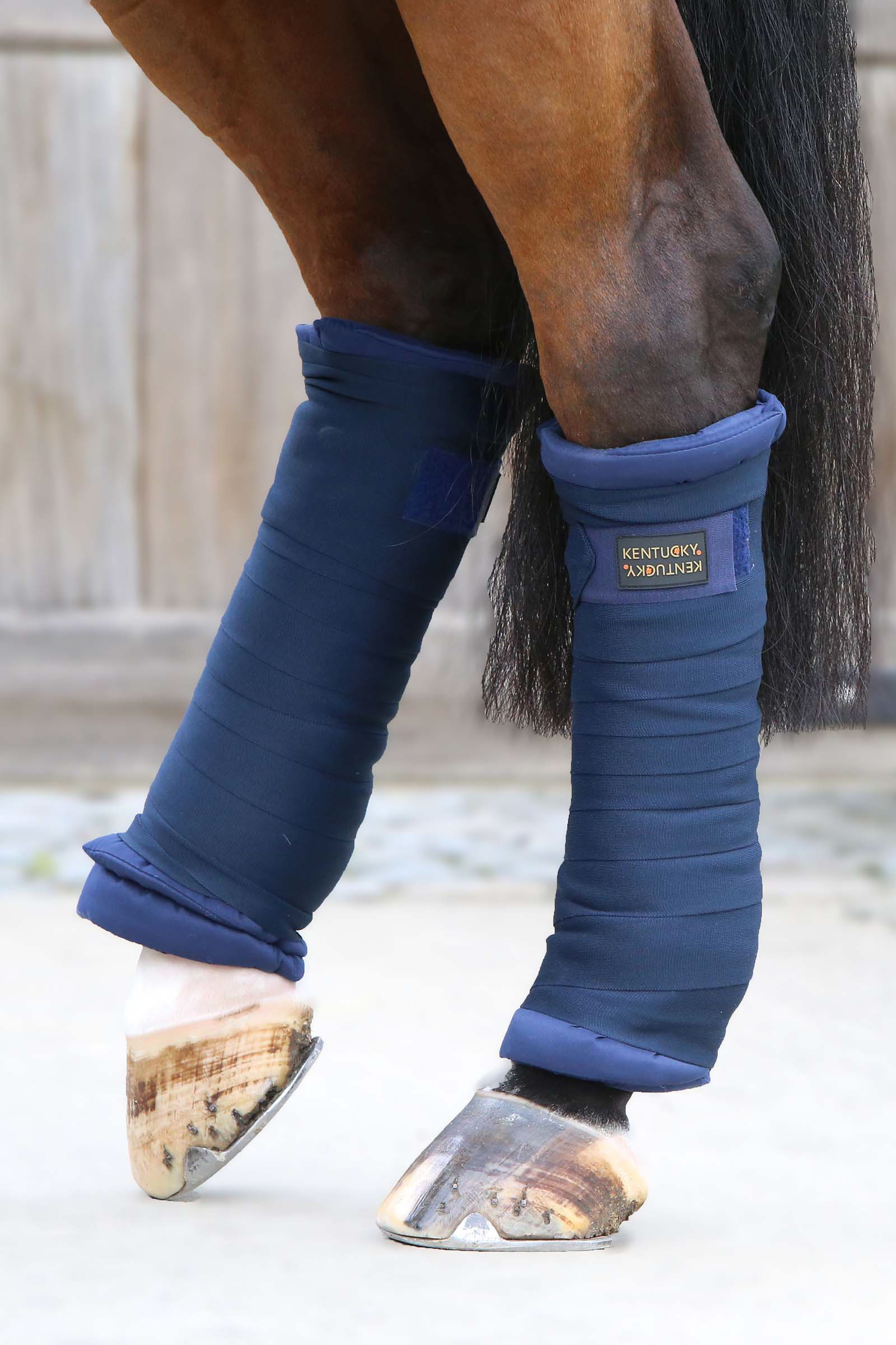 Sottofasce Kentucky Horsewear Stable, set di 4