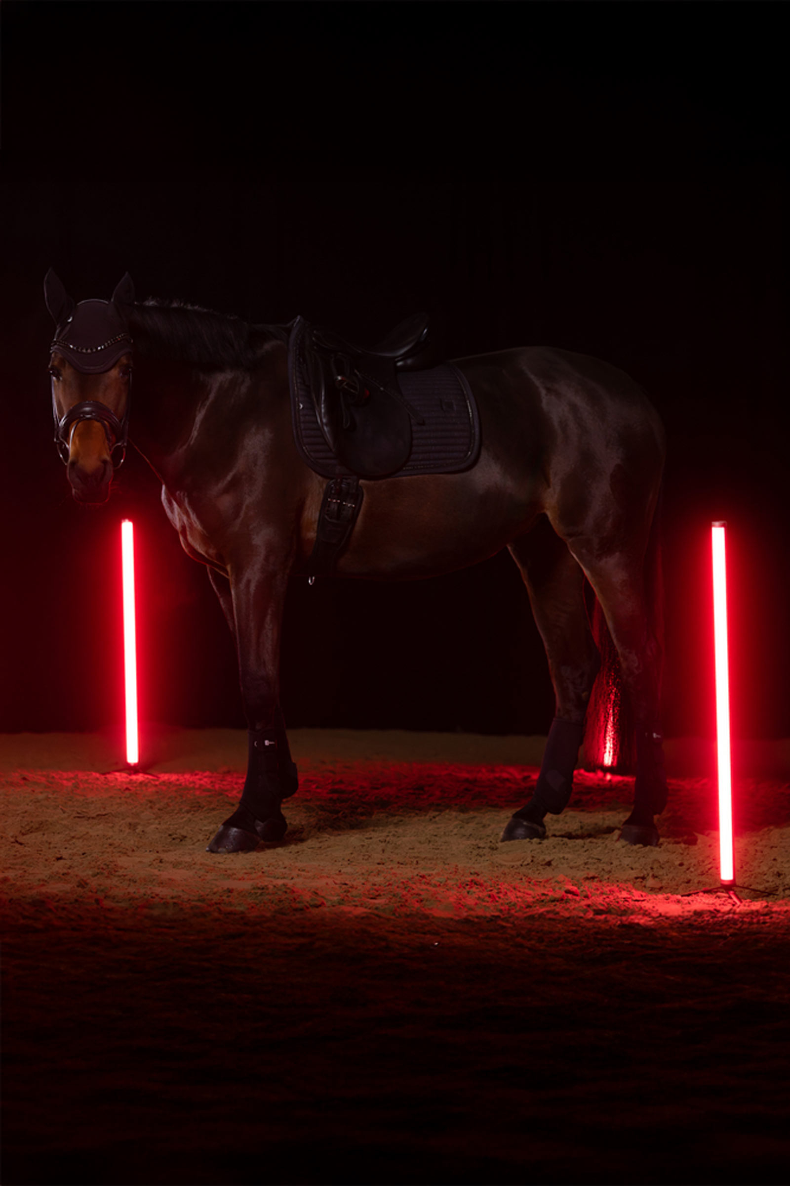 Eskadron Dynamics AW25 sottosella da dressage Sparkle Crystal