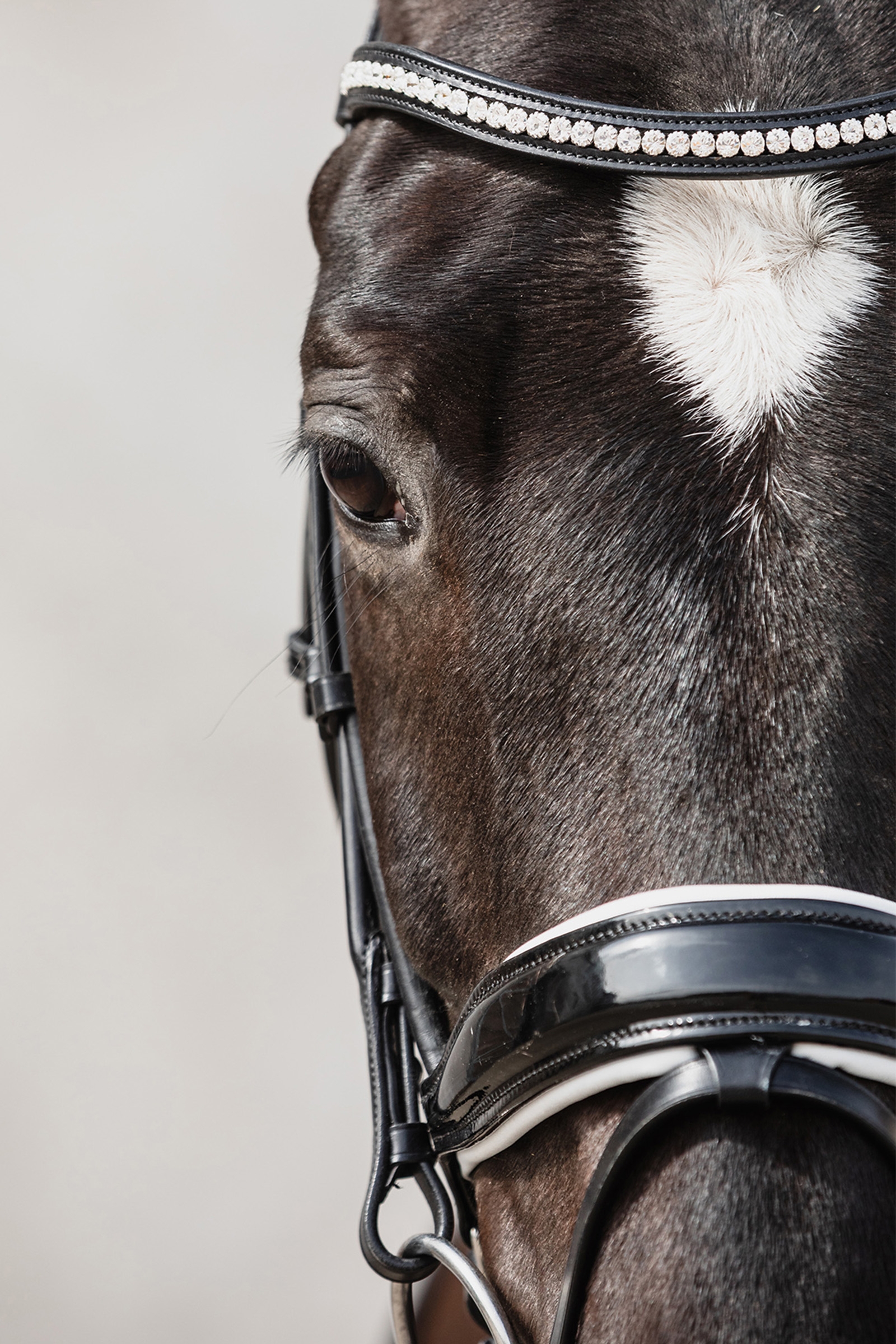 Schockemöhle Sports Malibu testiera anatomica