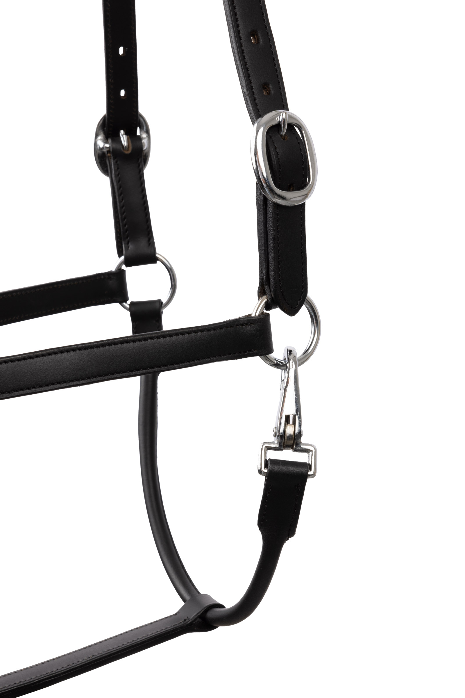 Horze capezza con cristalli