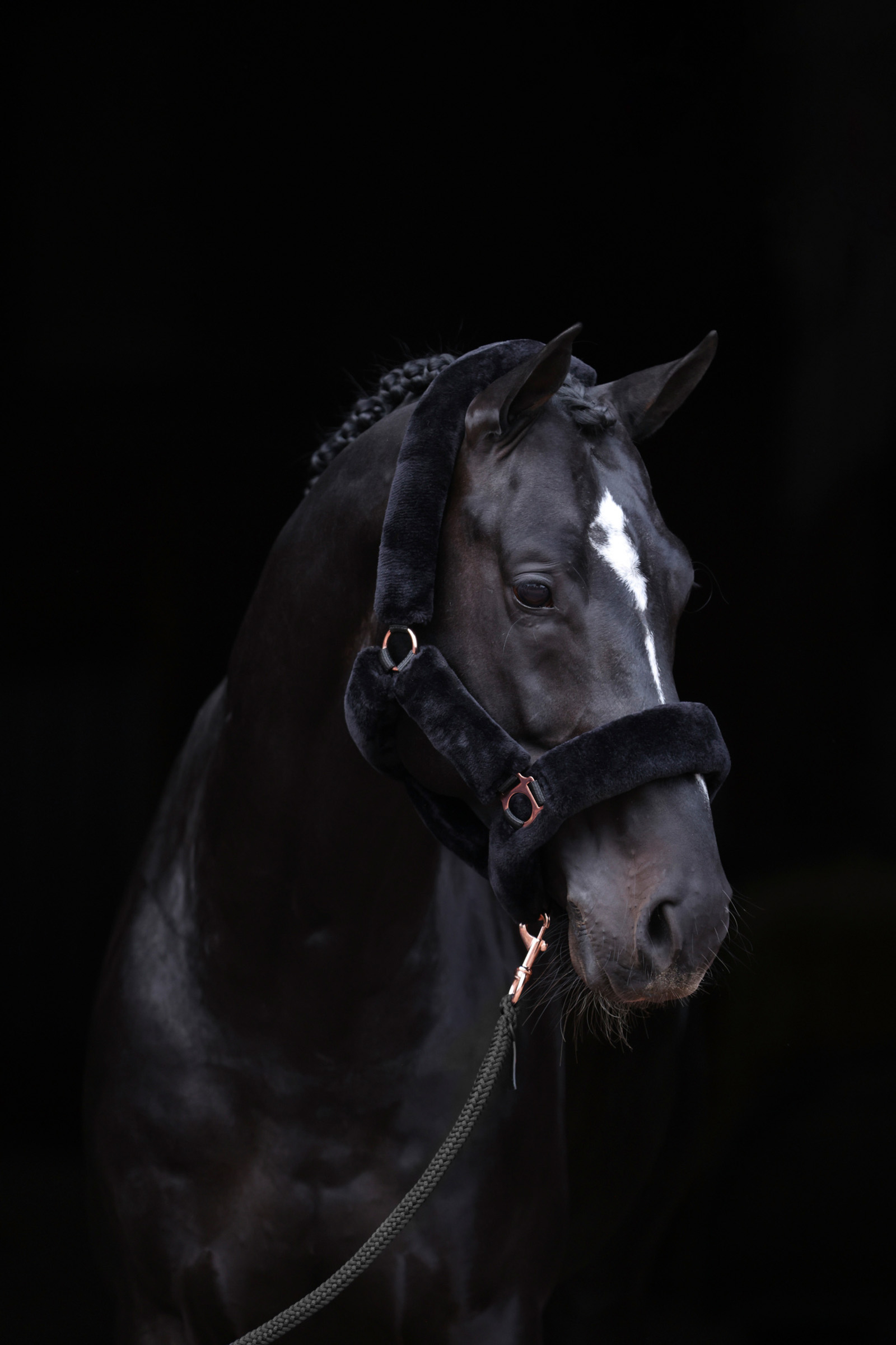 Covalliero SuperSoft Cavezza