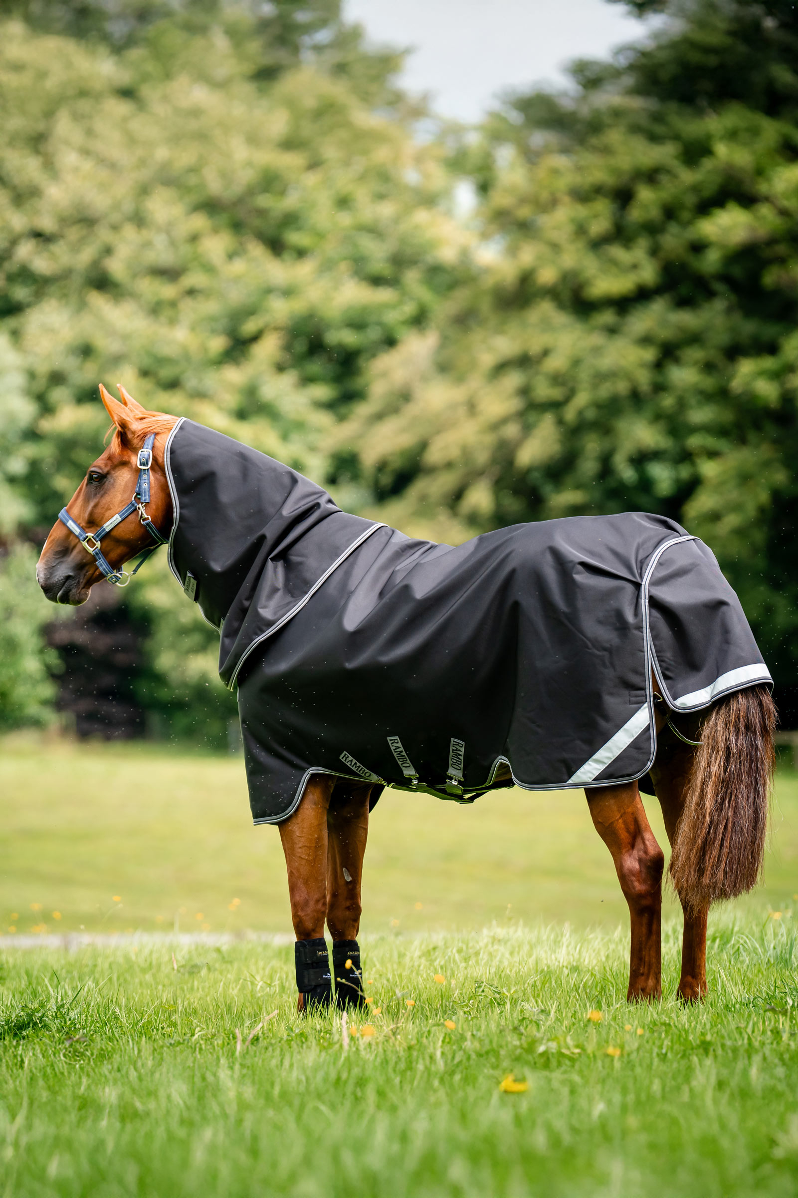 Horseware Rambo 1680D Plus coperta da esterno, 100 g