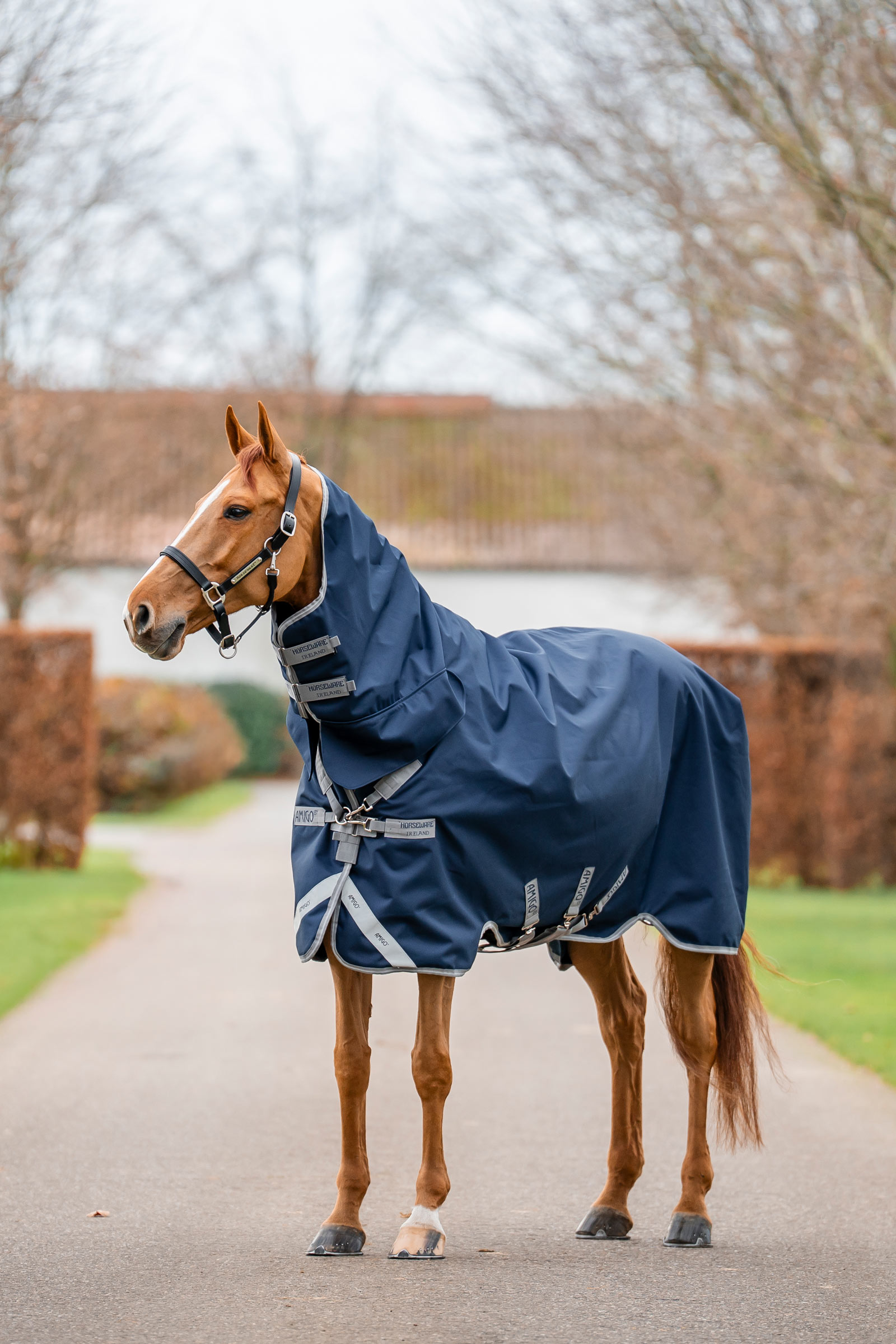 Horseware Amigo 1200D coperta turnout integrata 250 g