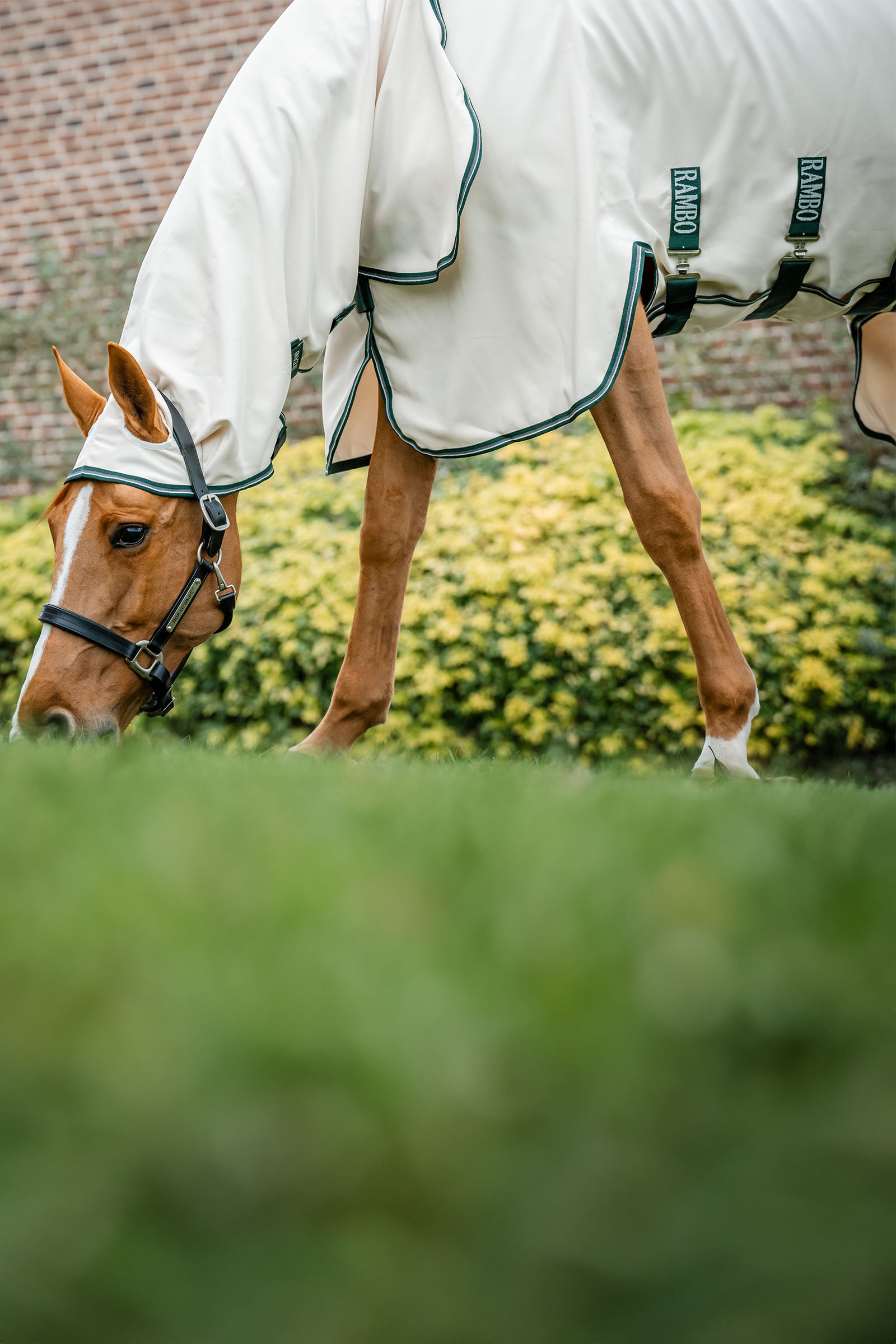 Horseware Rambo Hoody Coperta antimosche