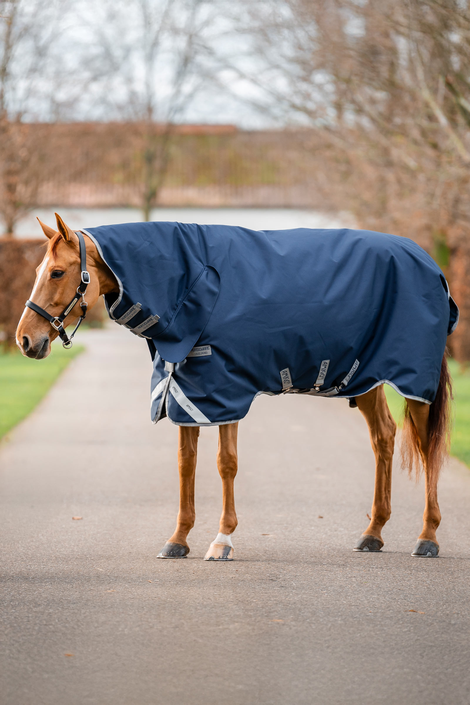 Horseware Amigo 1200D coperta turnout integrata 250 g