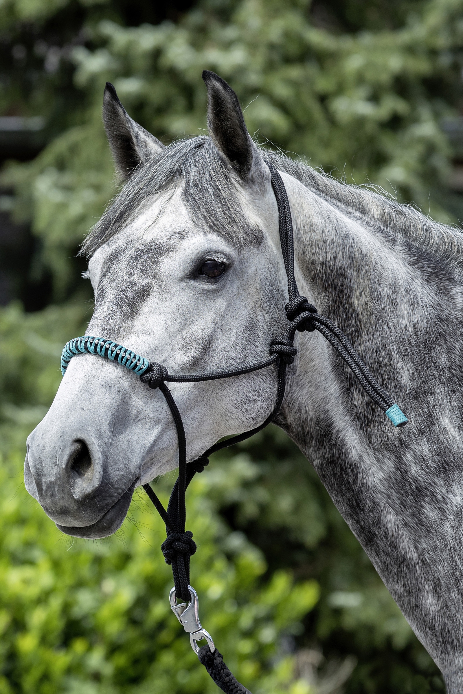 USG capezza in corda annodata