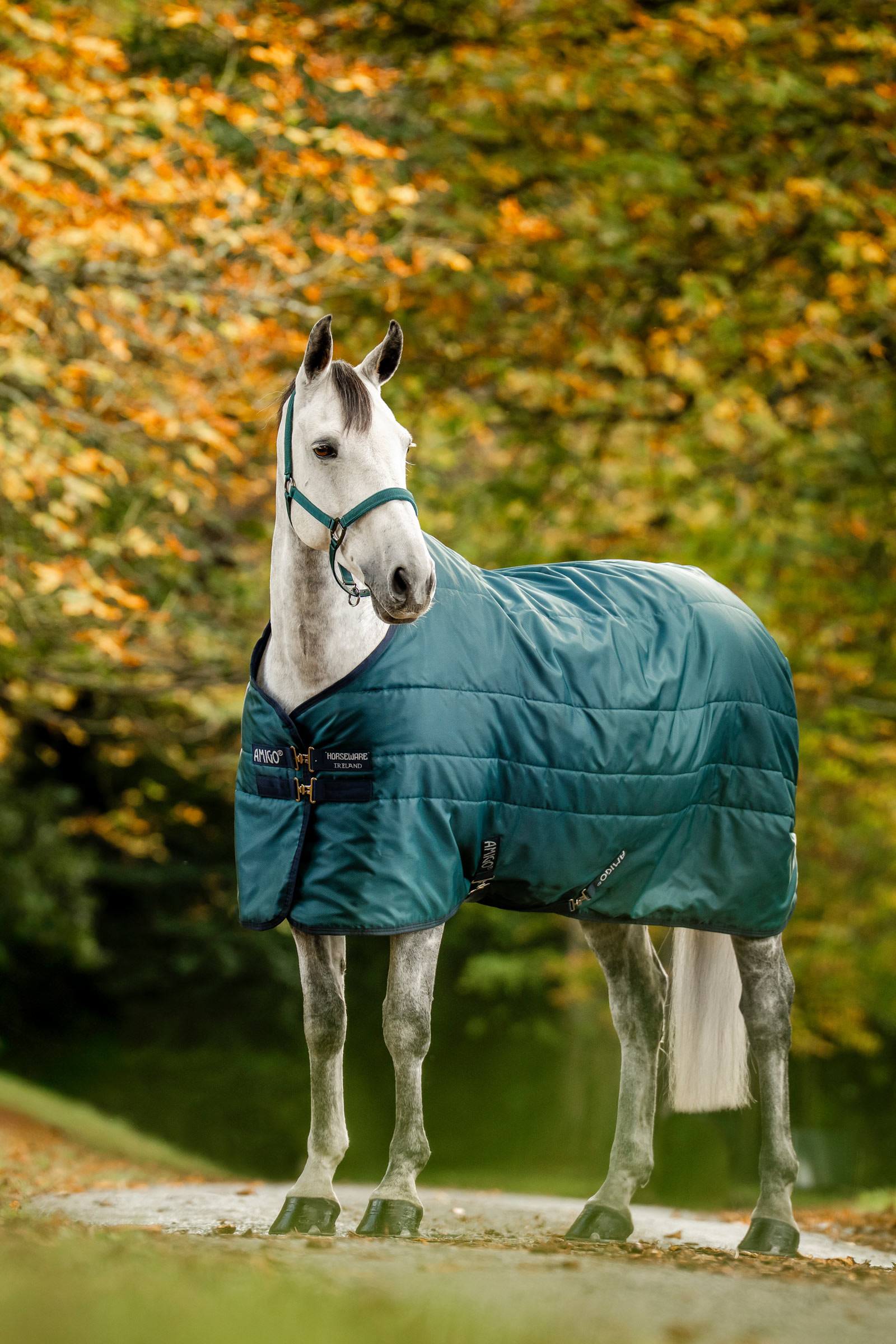 Horseware Amigo Ripstop coperta da box imbottita, 350 g