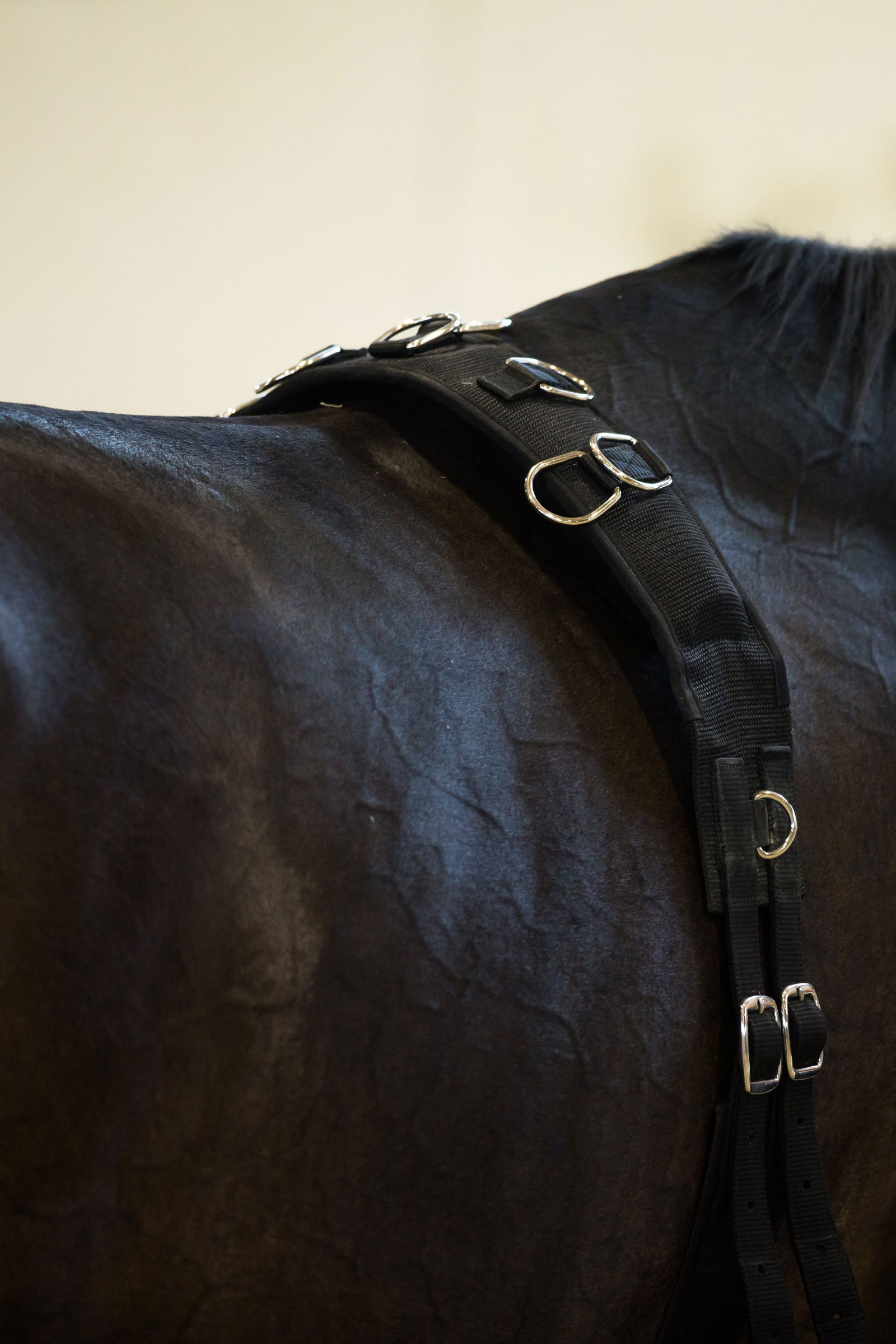 Sottopancia da affondo Horze, in nylon