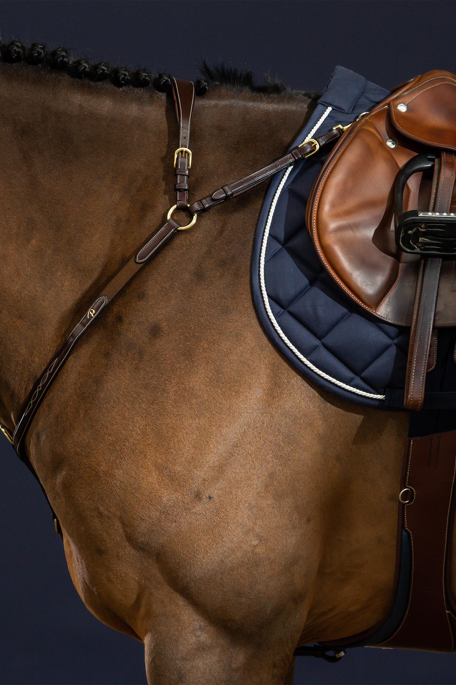 Dy'on D Collection pettorale con ponte