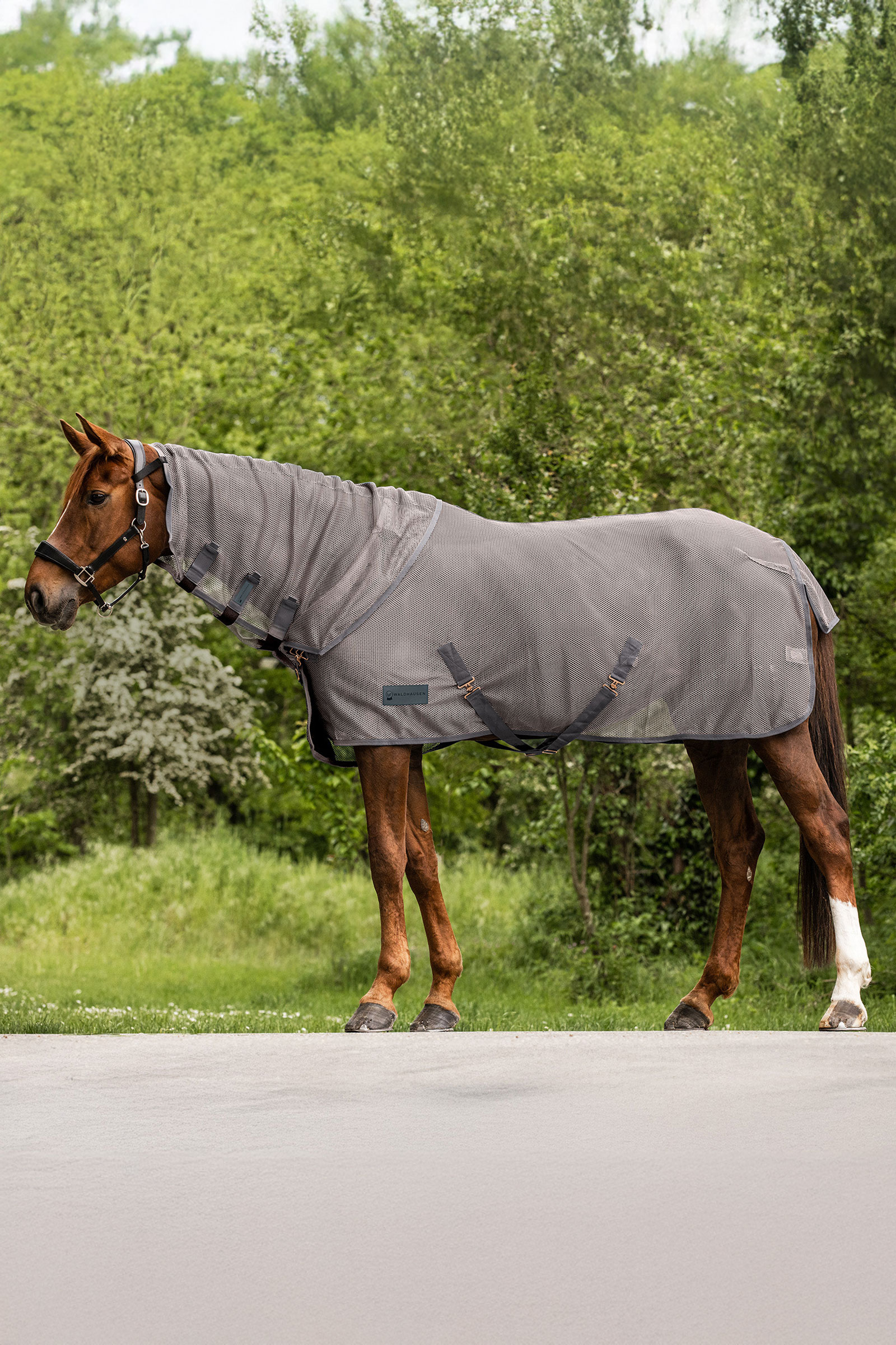 Waldhausen Comfort copricollo antimosche