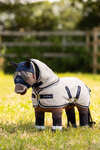 LeMieux Toy Pony coperta antimosche