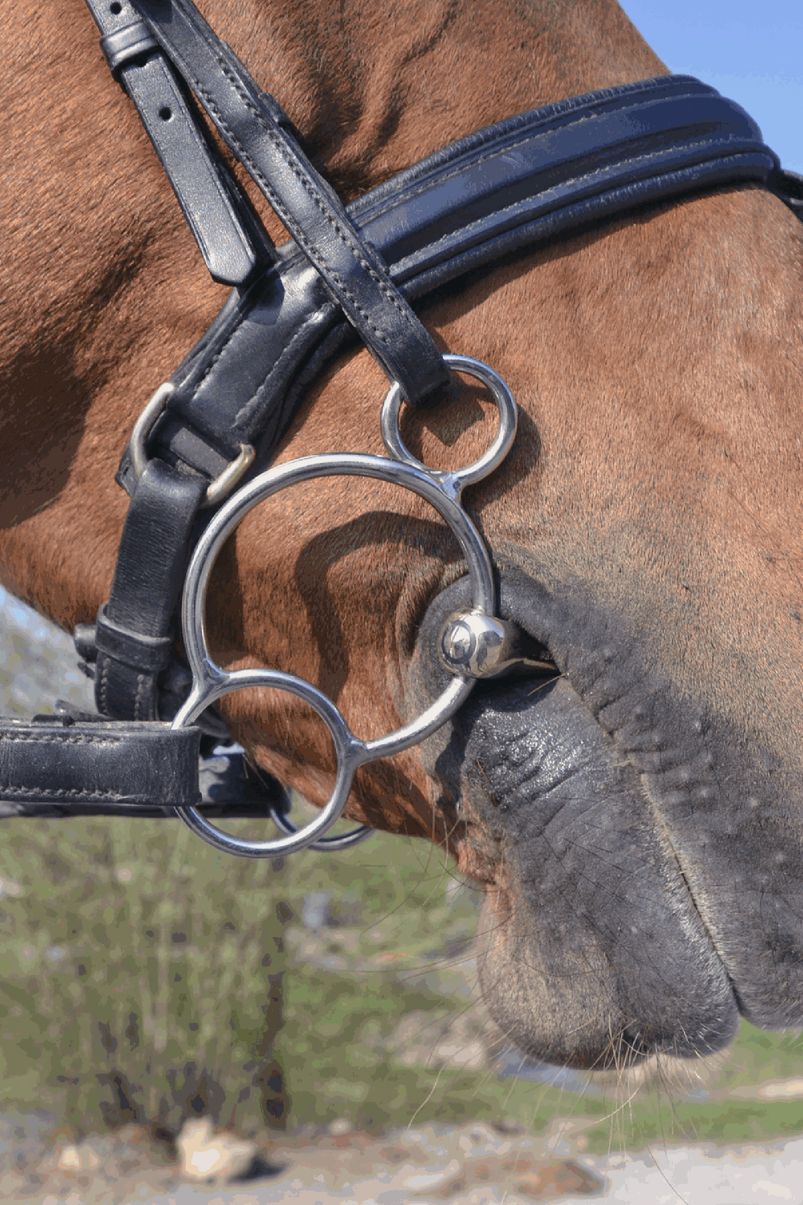 Sprenger KK Morso Universale in Sensogan, 14MM singolo snodo