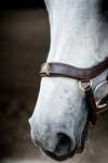 Horseware Micklem 2 Multi Briglia