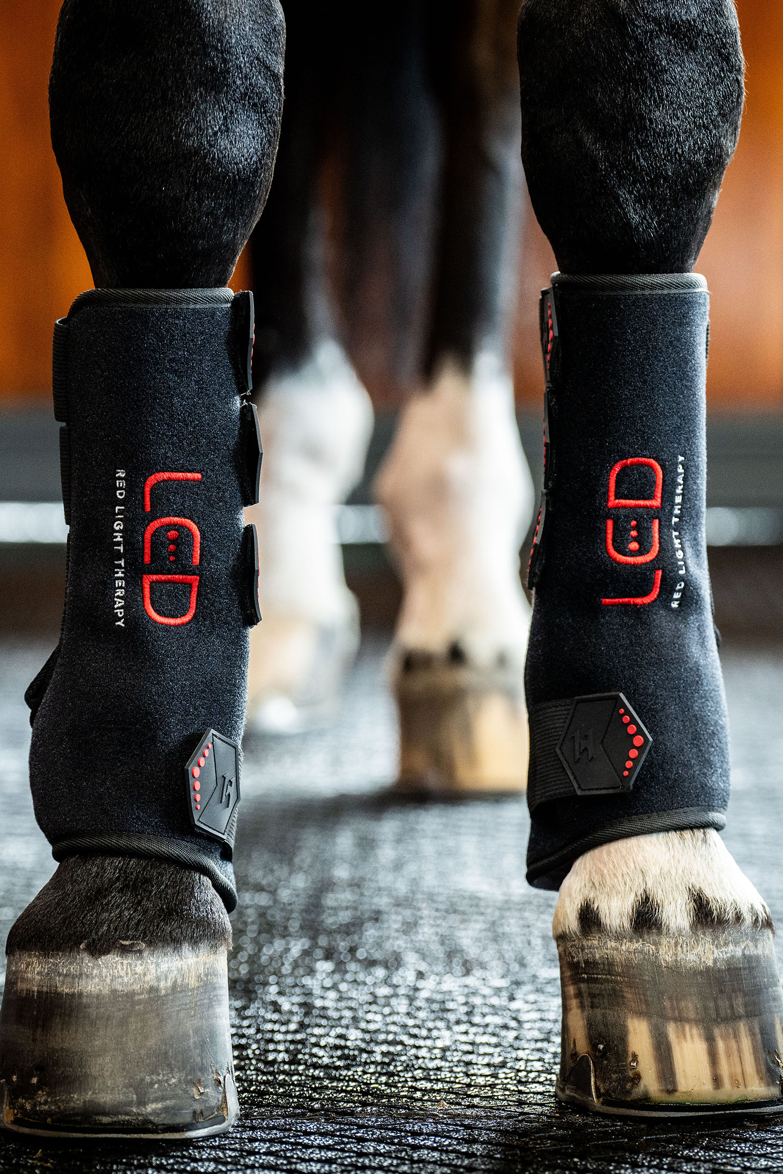 Horseware stinchiera terapeutica a LED con luce rossa (1 pz.)