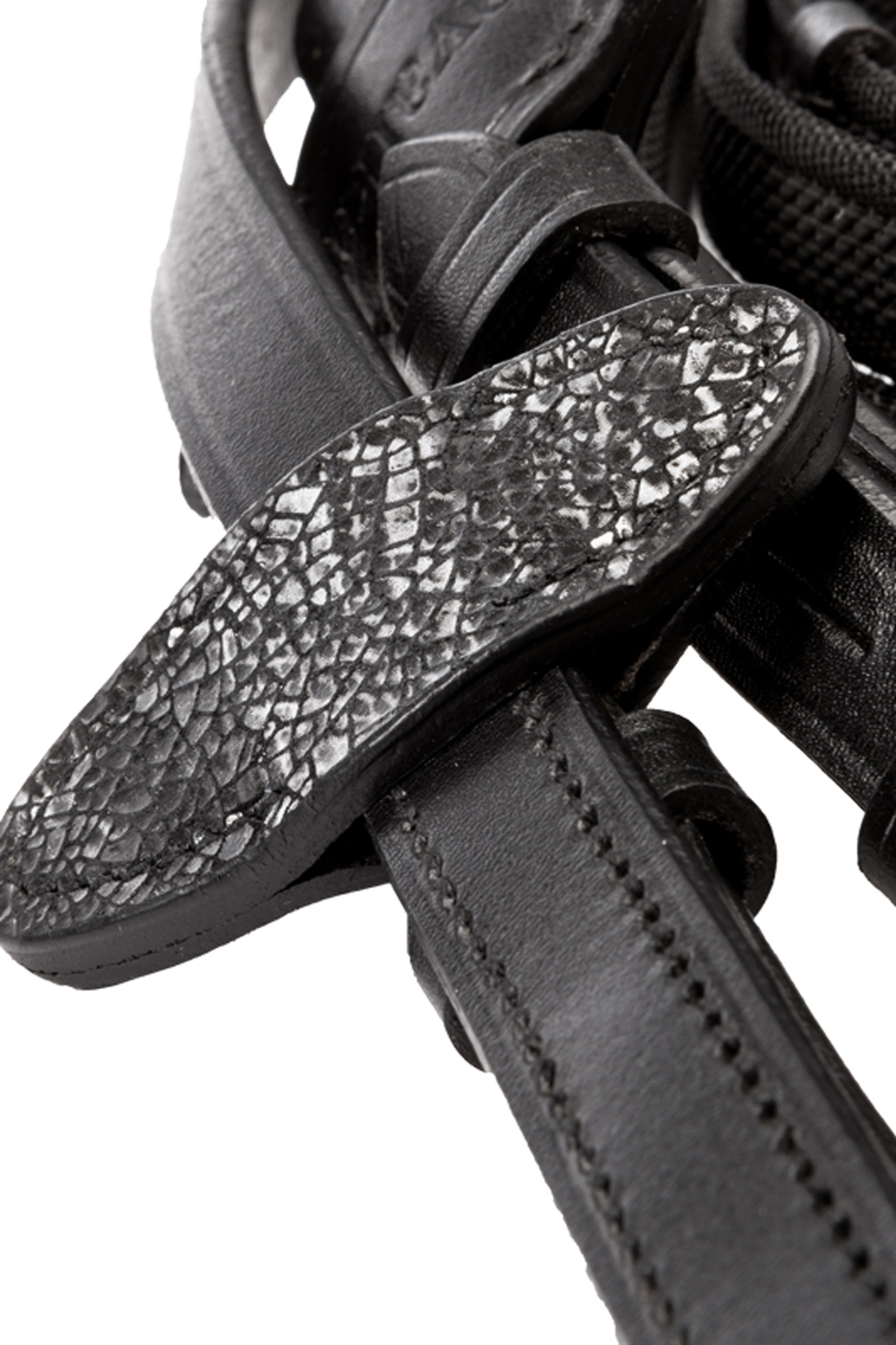 Kavalkade Victoria Briglia