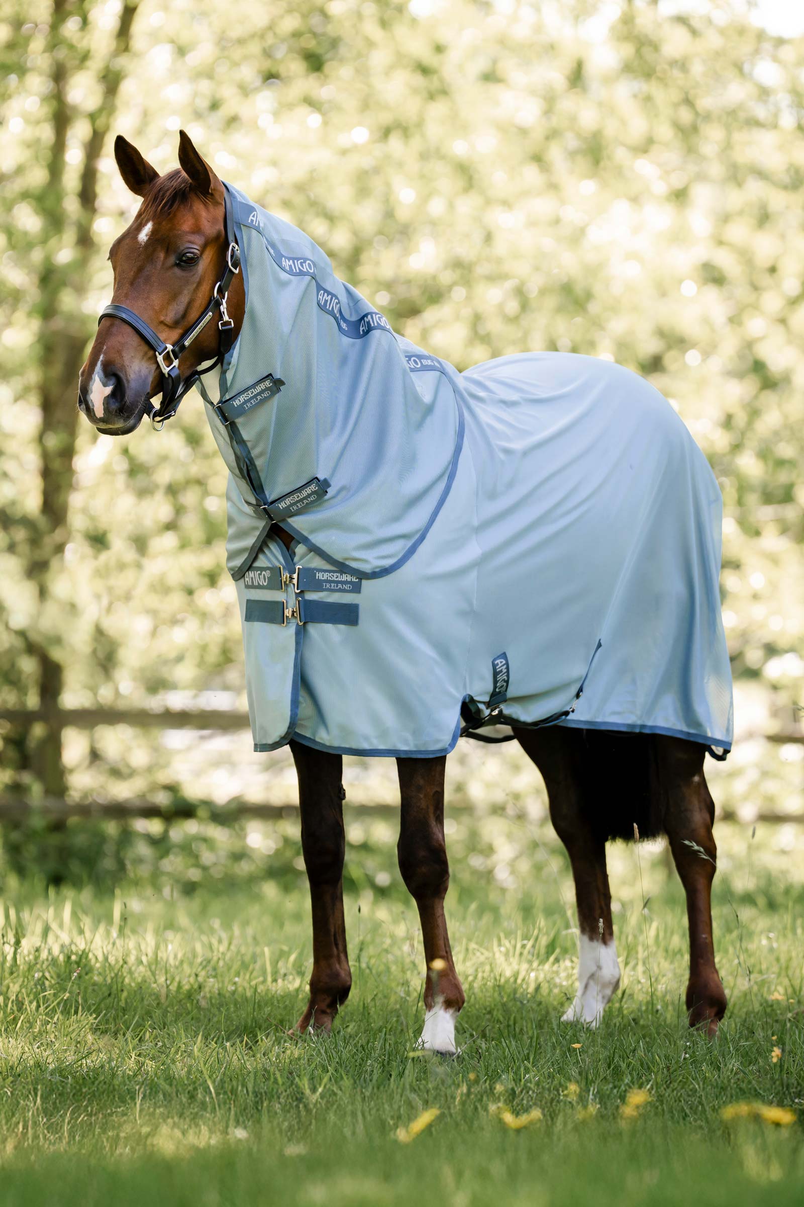 Heather Blue/Blue & Silver Horseware Amigo Coperta antimosche Plus