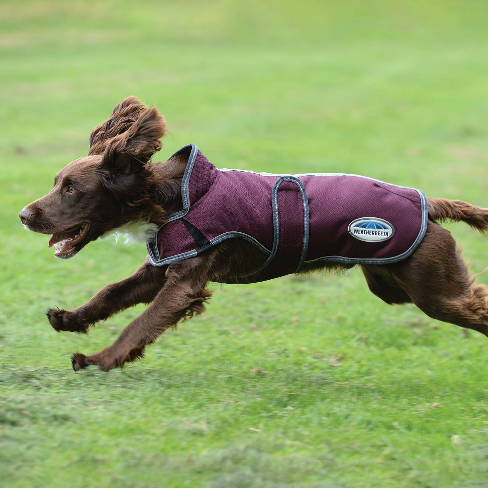 Weatherbeeta Comfitec Premier Free Cappotto per cani Parka Deluxe, 220 gr