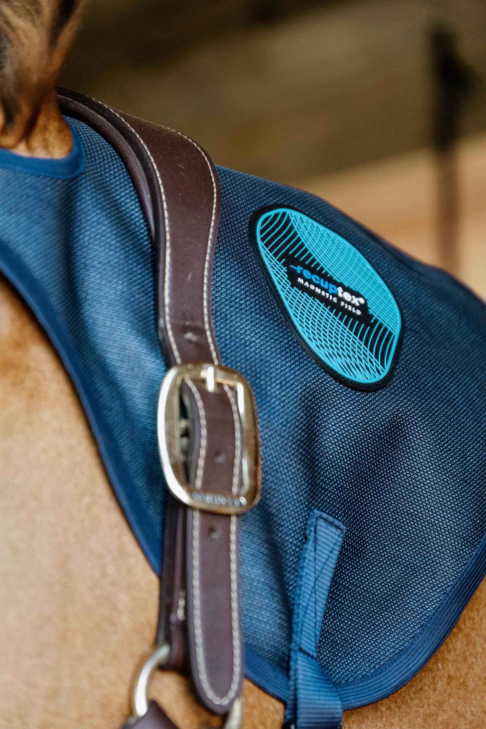 Kentucky Horseware protezione collo magnetica Recuptex