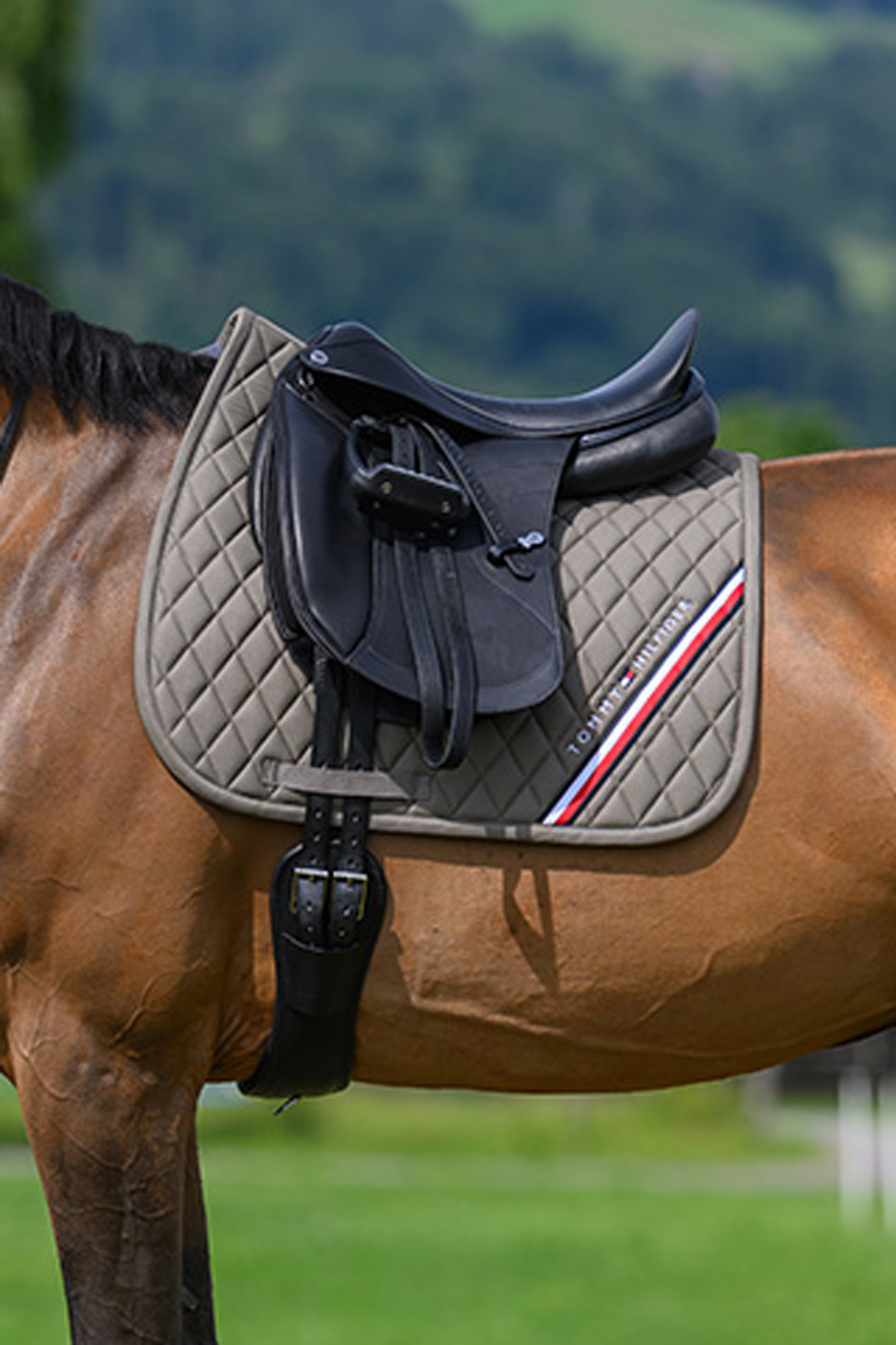 Ash Tommy Hilfiger Equestrian Stanford sottosella da dressage