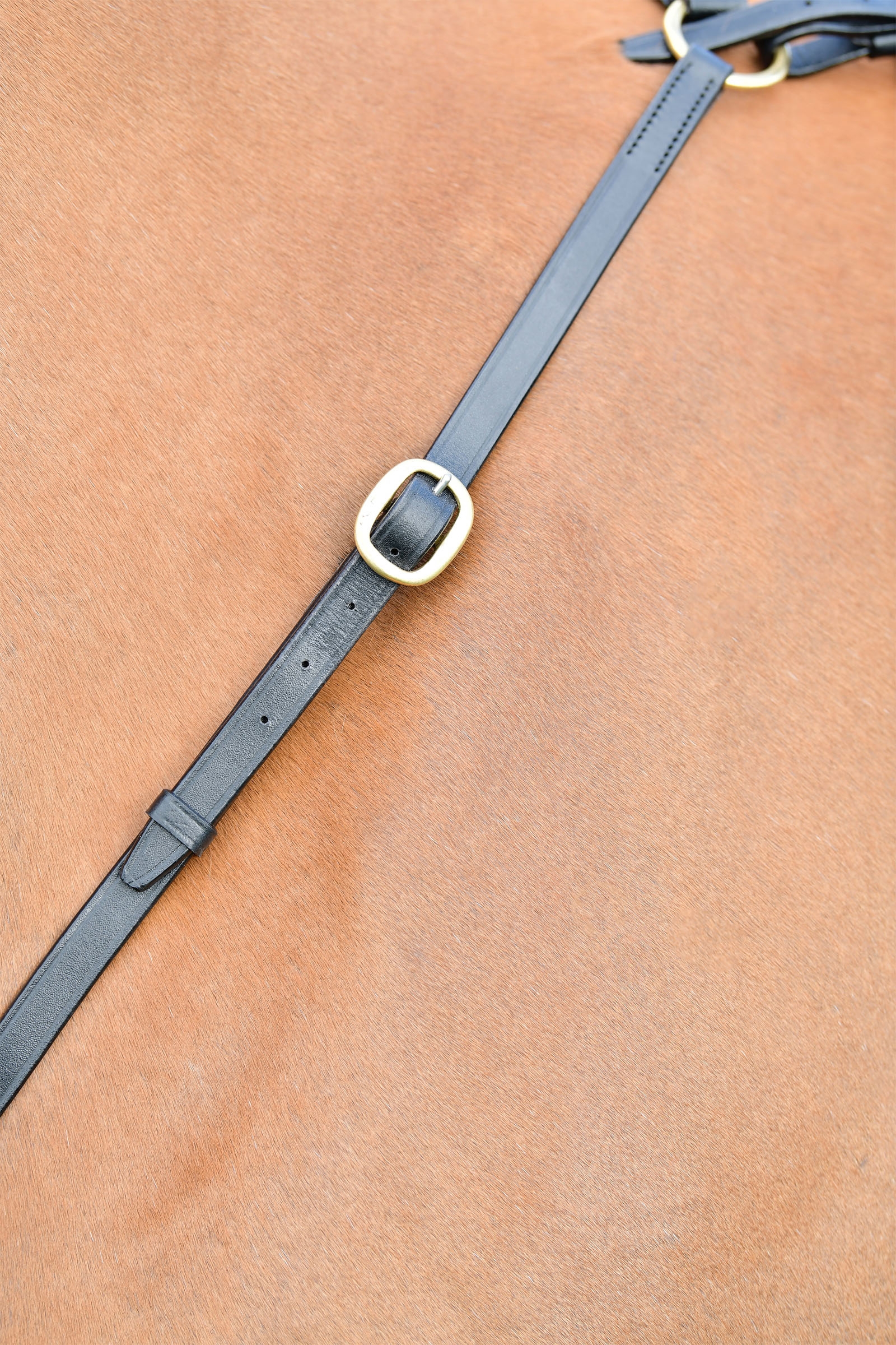 Kincade Classic pettorale a 3 punti con martingala scorrevole