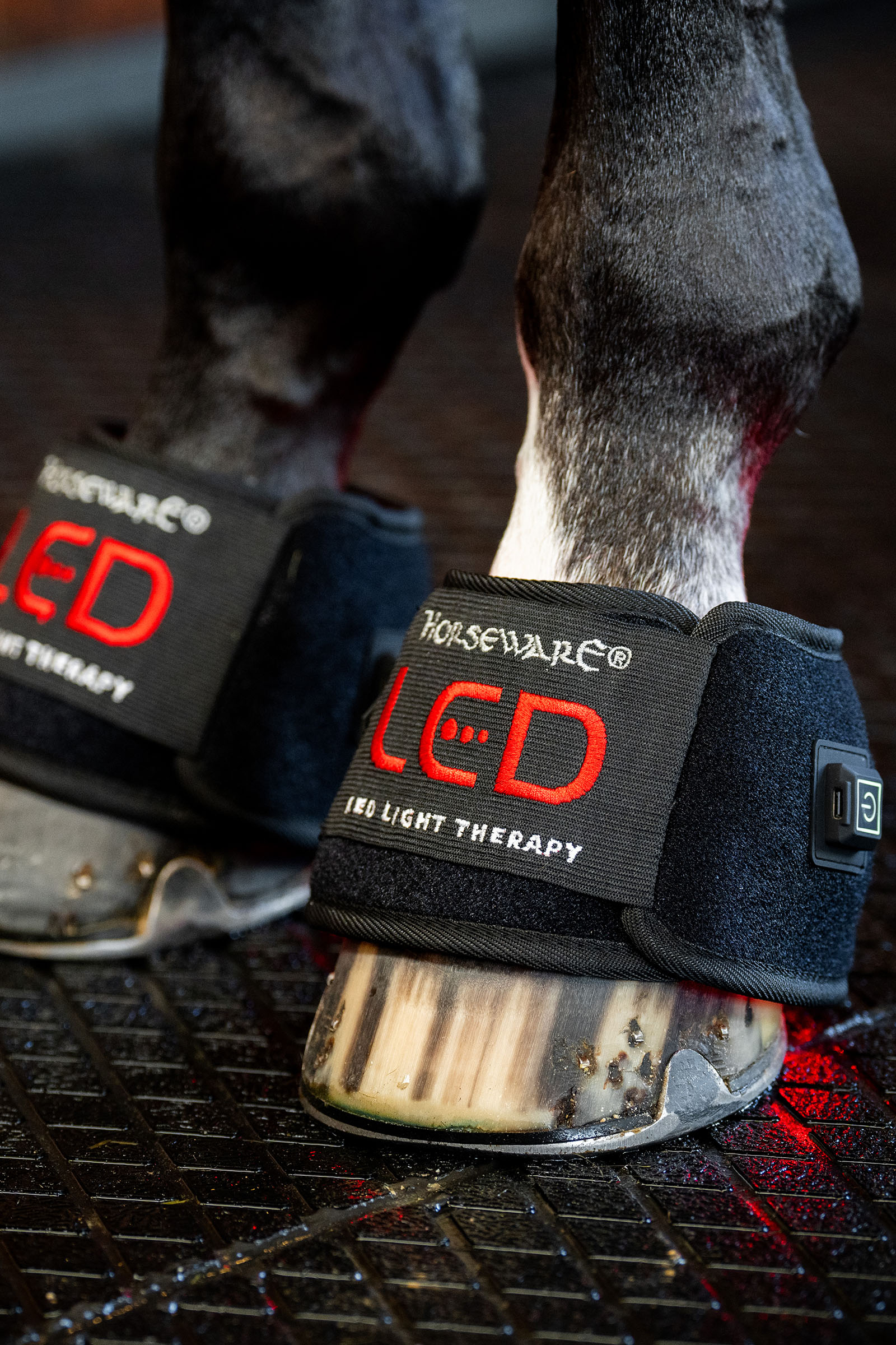 Horseware stinchiera terapeutica a LED con luce rossa mini (1 pz.)