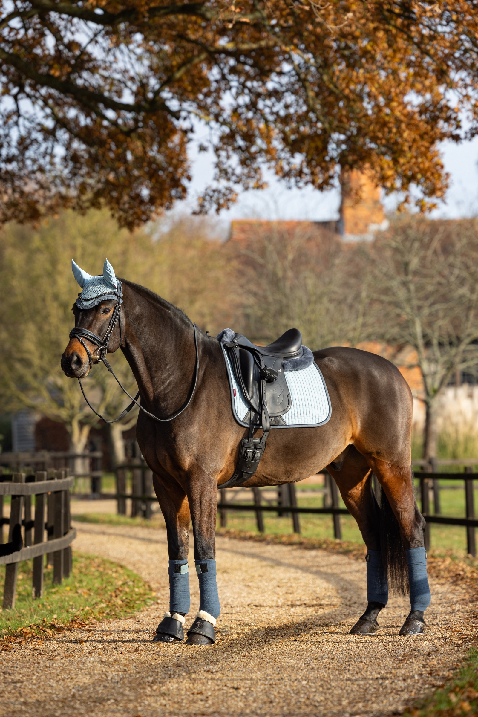 LeMieux sottosella quadrato in suede dressage