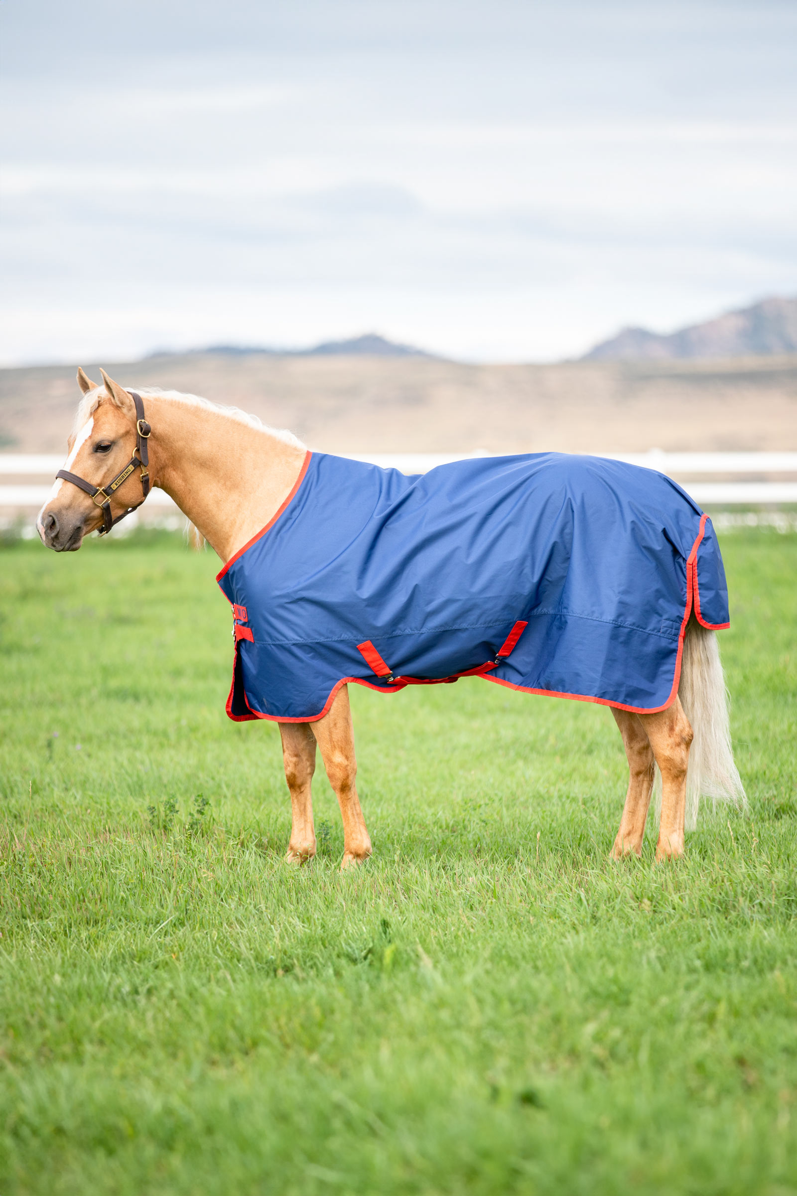 Dark Blue/Dark Blue/Red Horseware Mio coperta da turnout leggera, 200 g