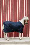 Coperta da scuderia Kentucky Horsewear Tiny Pony, 400 g