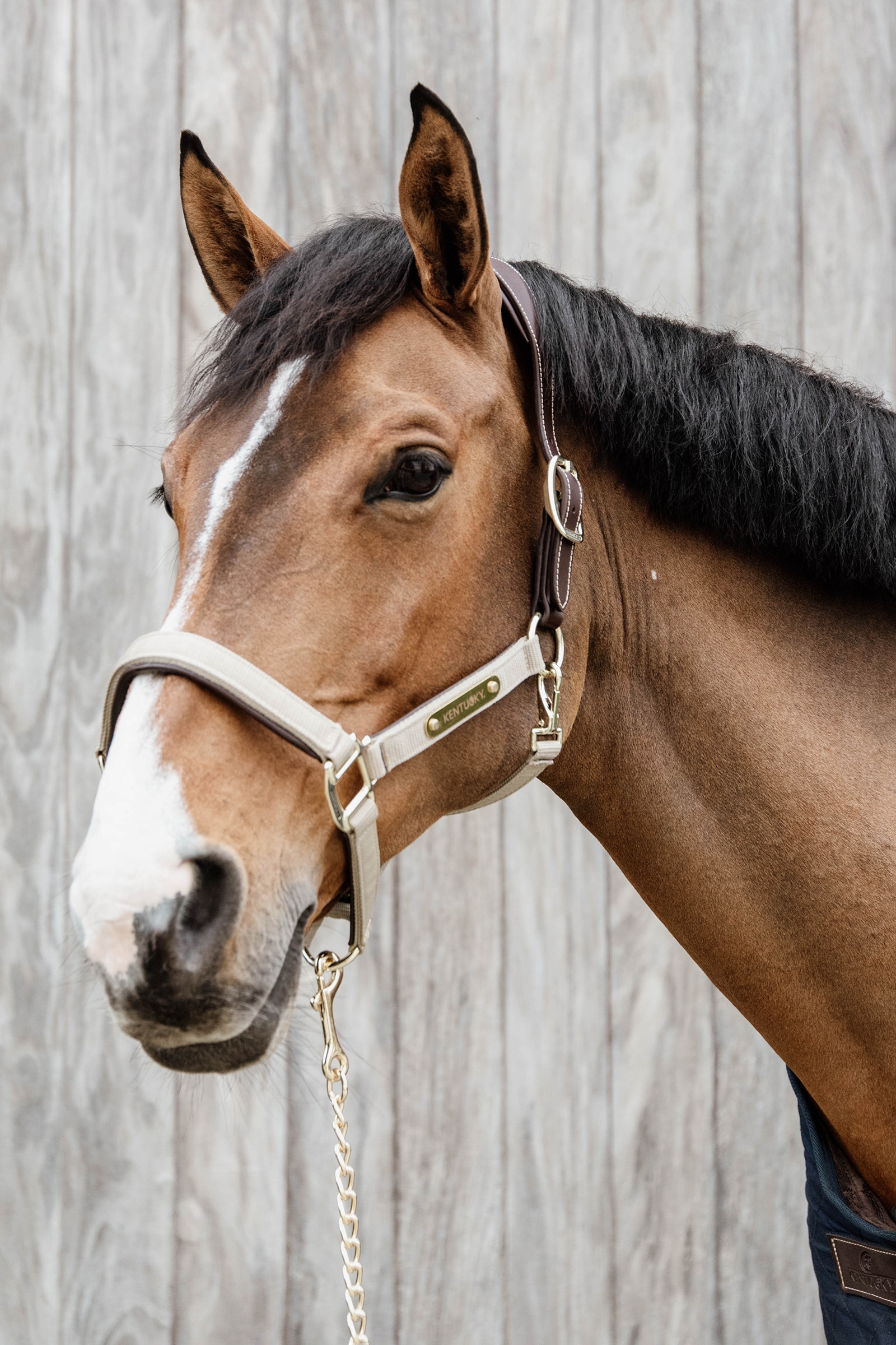 Kentucky Horsewear Cavezza anatomica in nylon