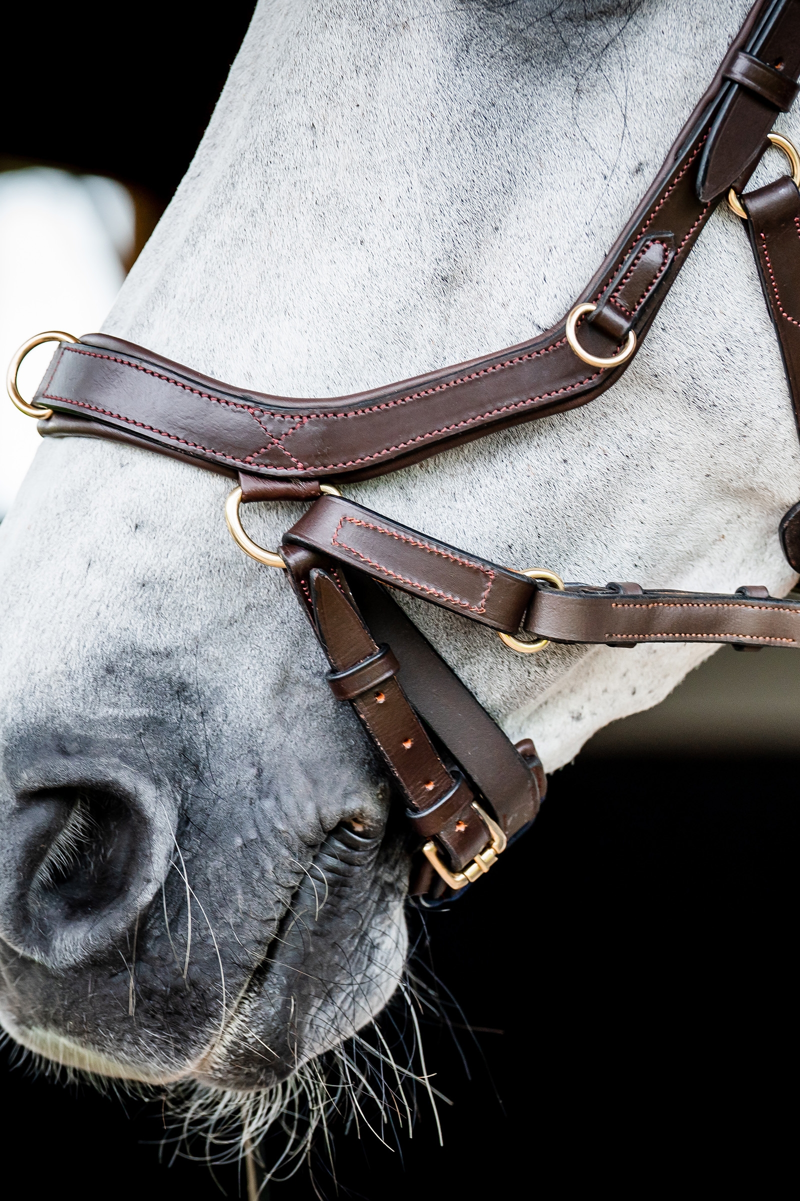 Horseware Micklem 2 Multi Briglia