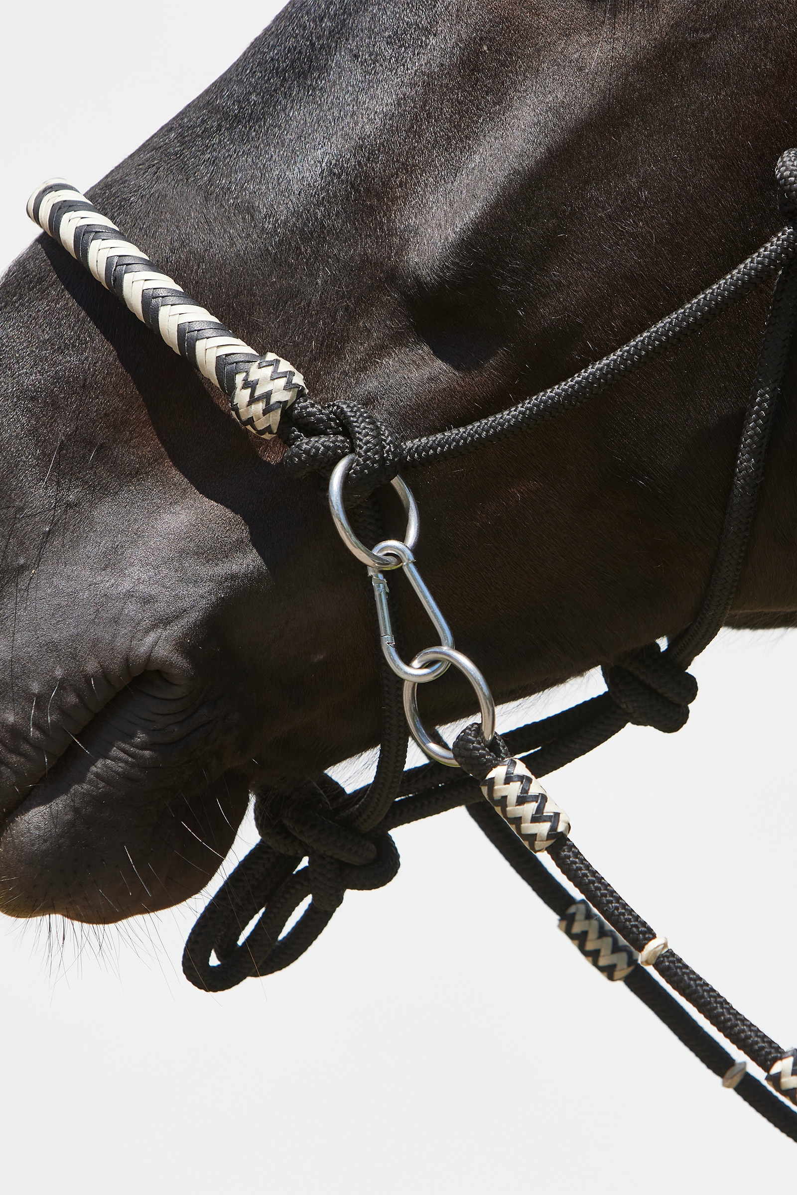 Cavezza in corda Kieffer Enya