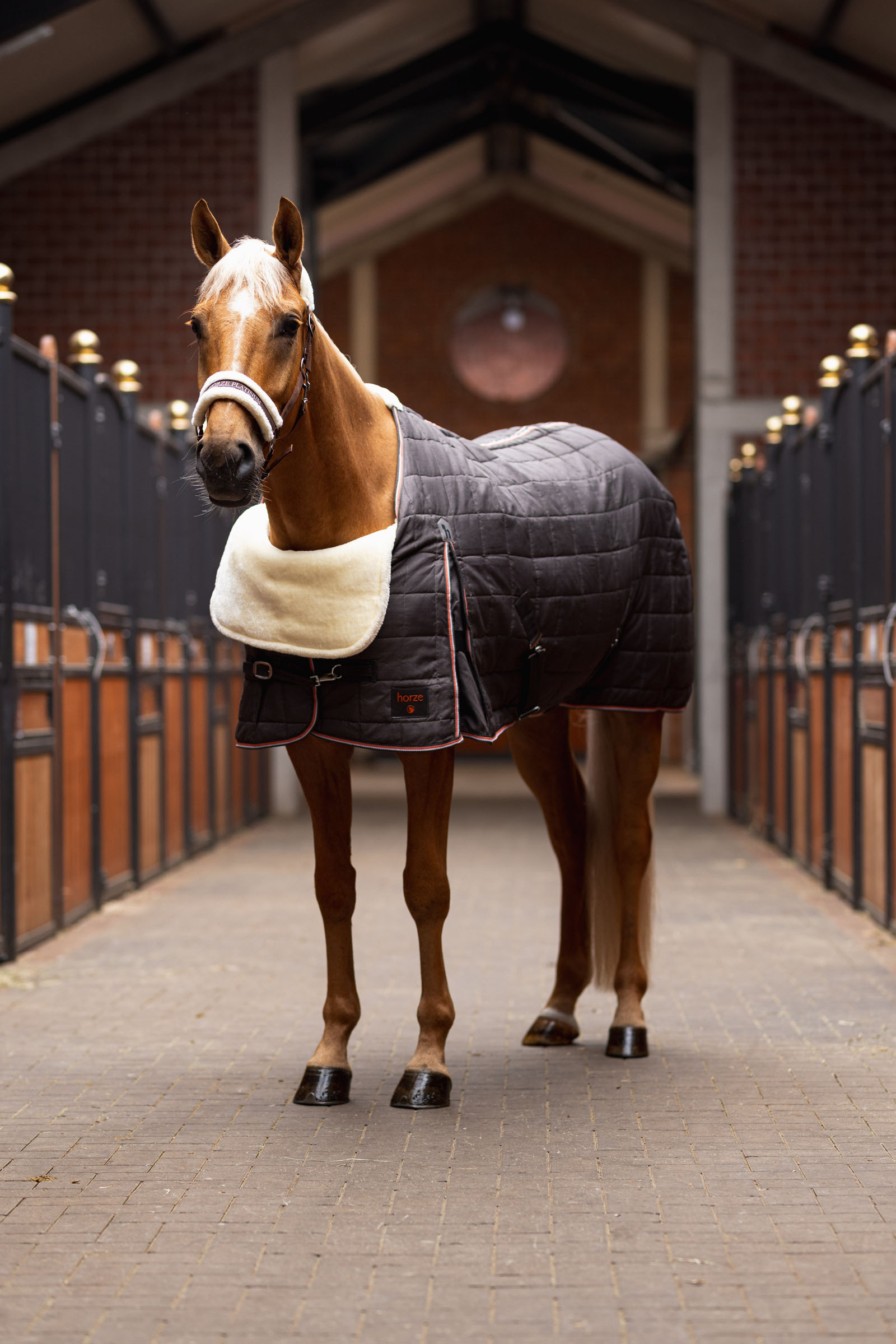 Protezione per le spalle Horze Comfort