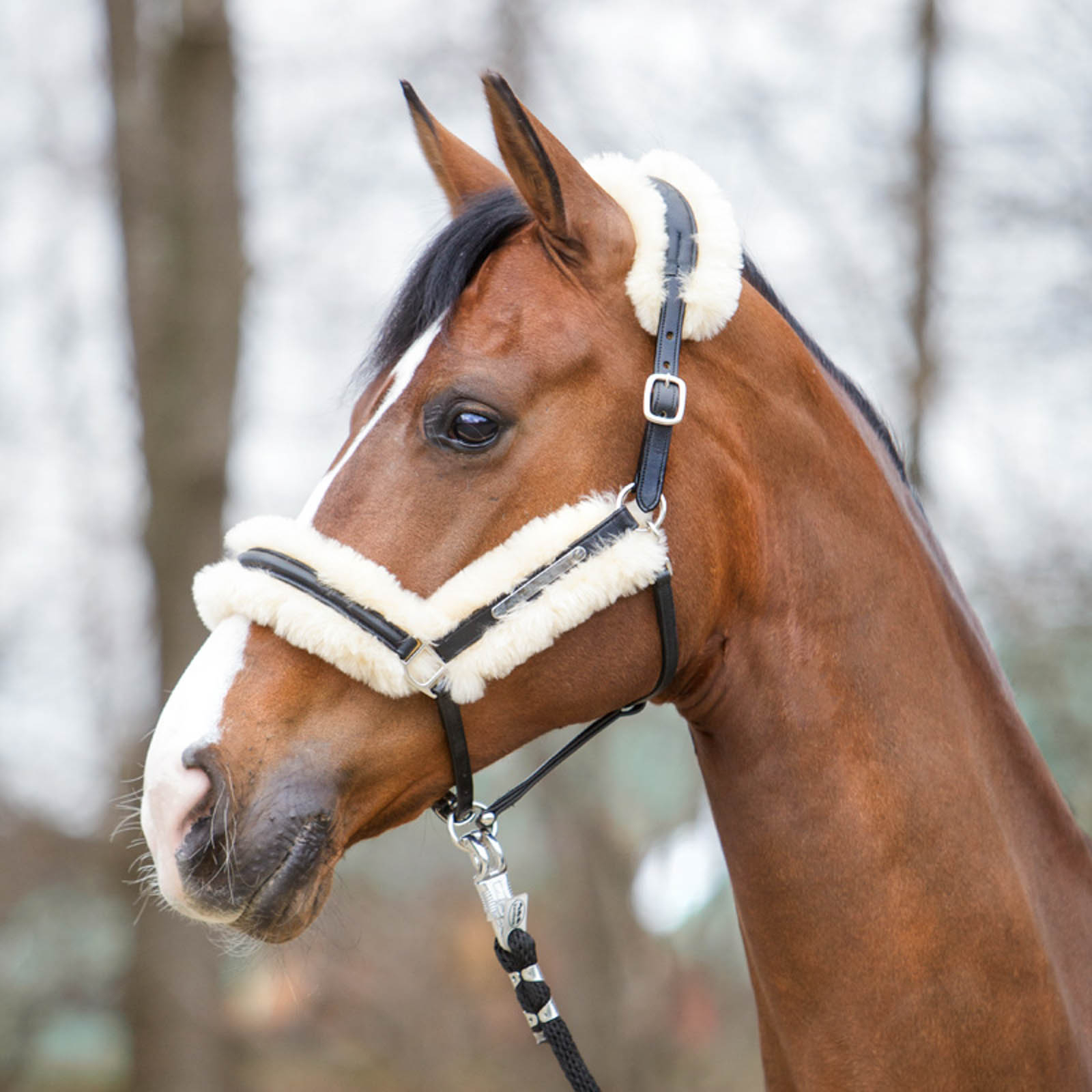 Kavalkade Meravigliosa cavezza in pelle con pelle di pecora