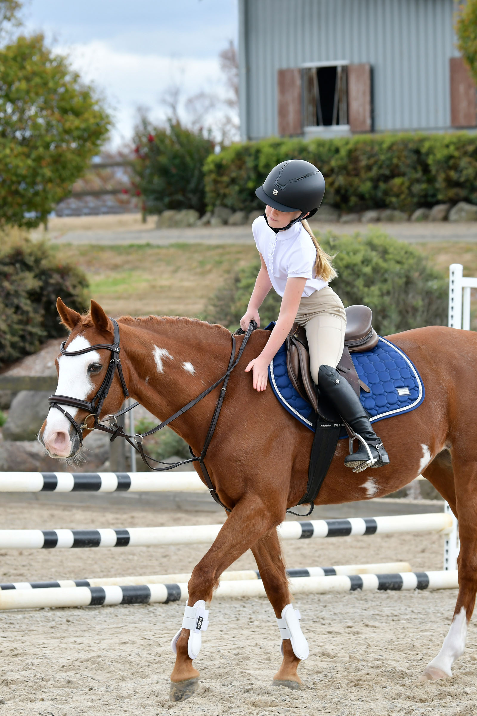 Collegiate Comfitec Opulux testiera semplice imbottita con capezzina combinata hannoveriana