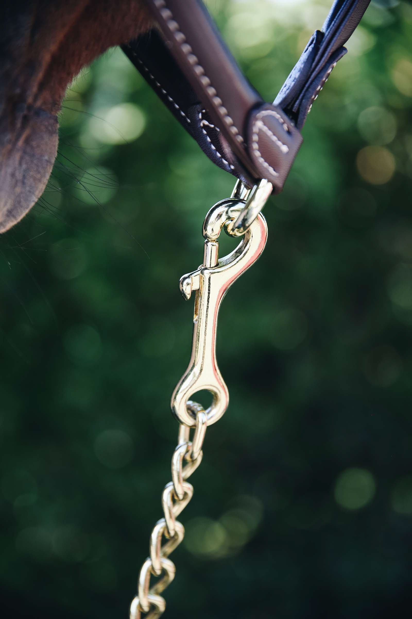 Catena Kentucky Horsewear Stallone 60 Cm