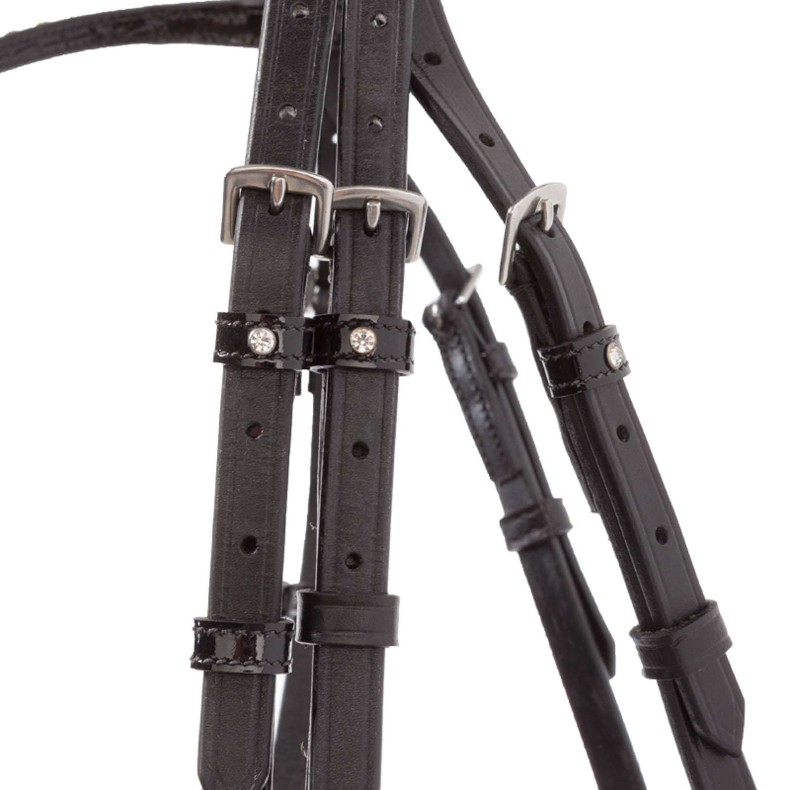 Briglia Kavalkade Reyna KavalSH4