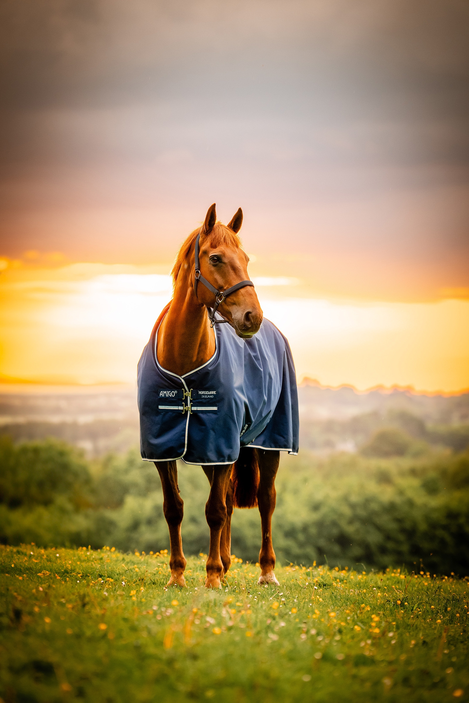 Witney Navy Horseware Amigo Ripstop 900D coperta da esterno con fodera in pile, 50 g