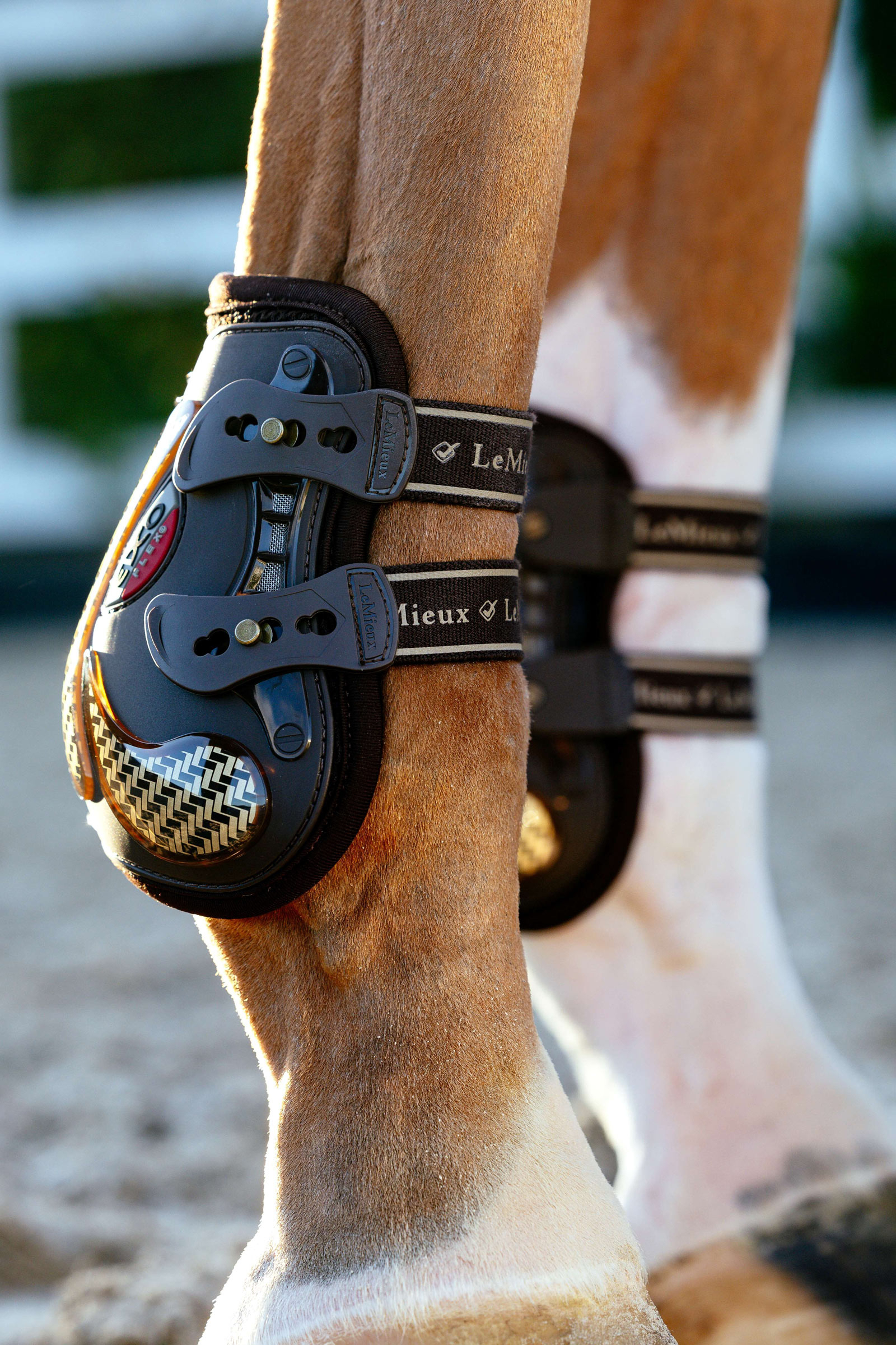 Stivaletti LeMieux EXO Flex