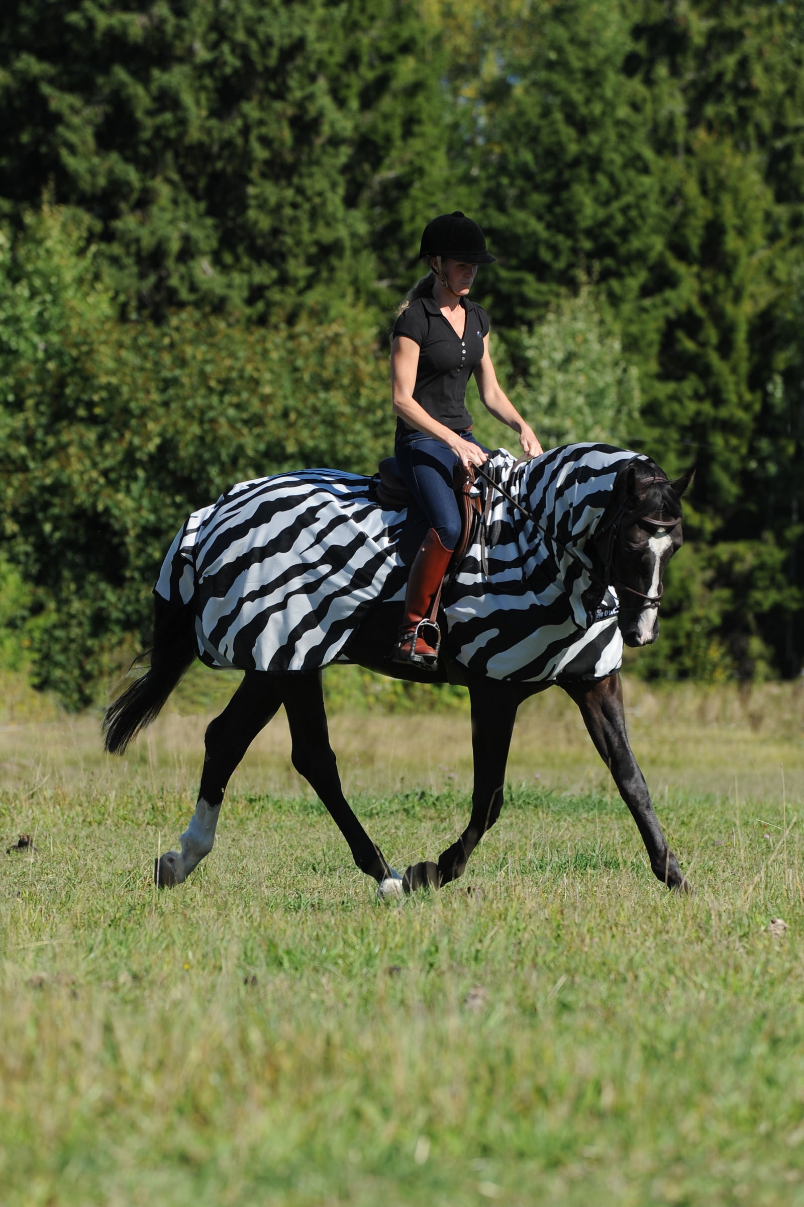 Bucas Buzz-Off Coperta antimosche da equitazione Zebra