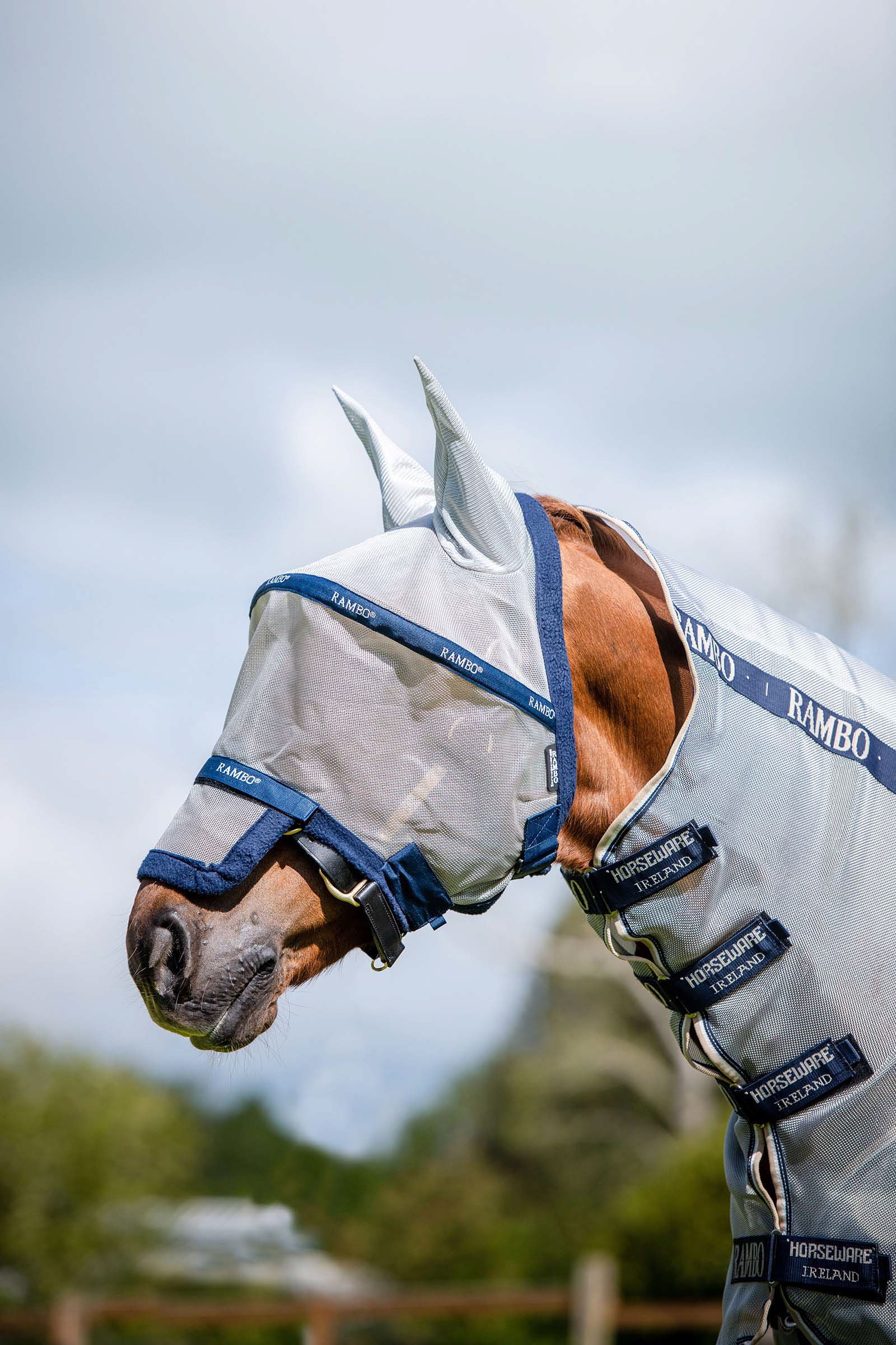 Silver/Dark Blue Horseware Rambo Plus Maschera antimosche