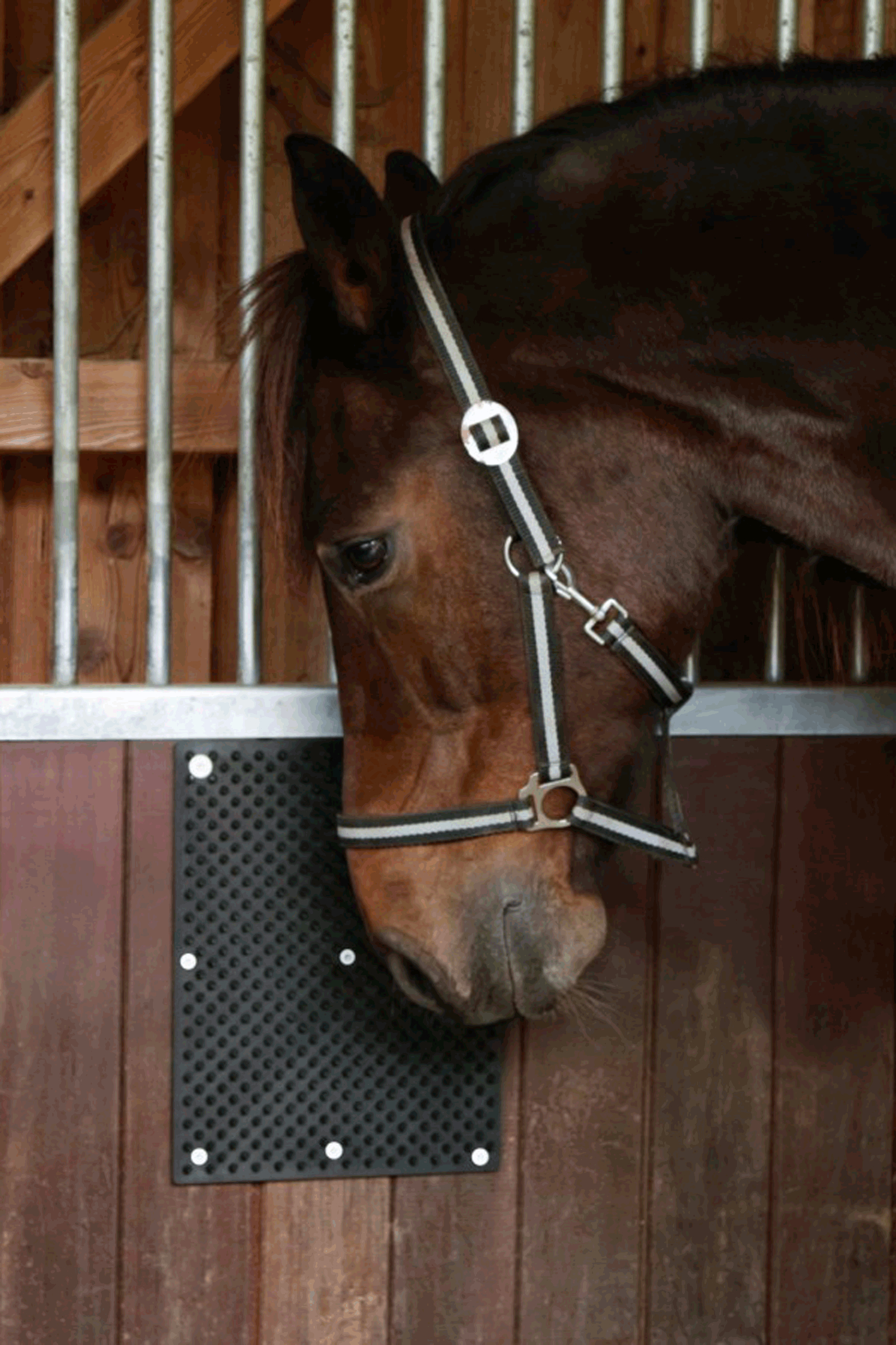 Kerbl Tappetino Scratch