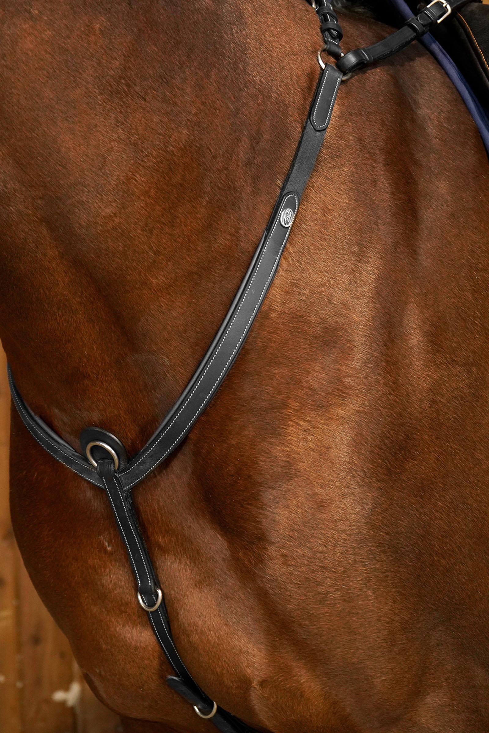 Dy'on Working pettorale con ponte