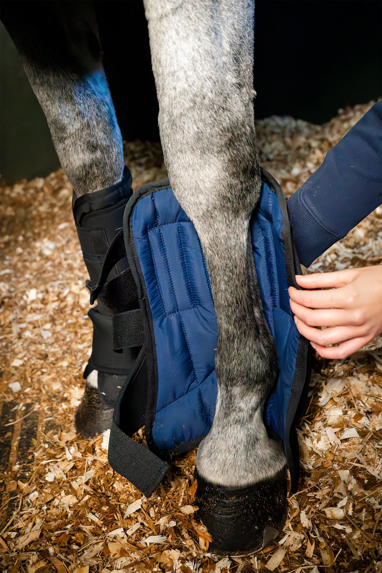 Horseware stivale da scuderia Ionic liner