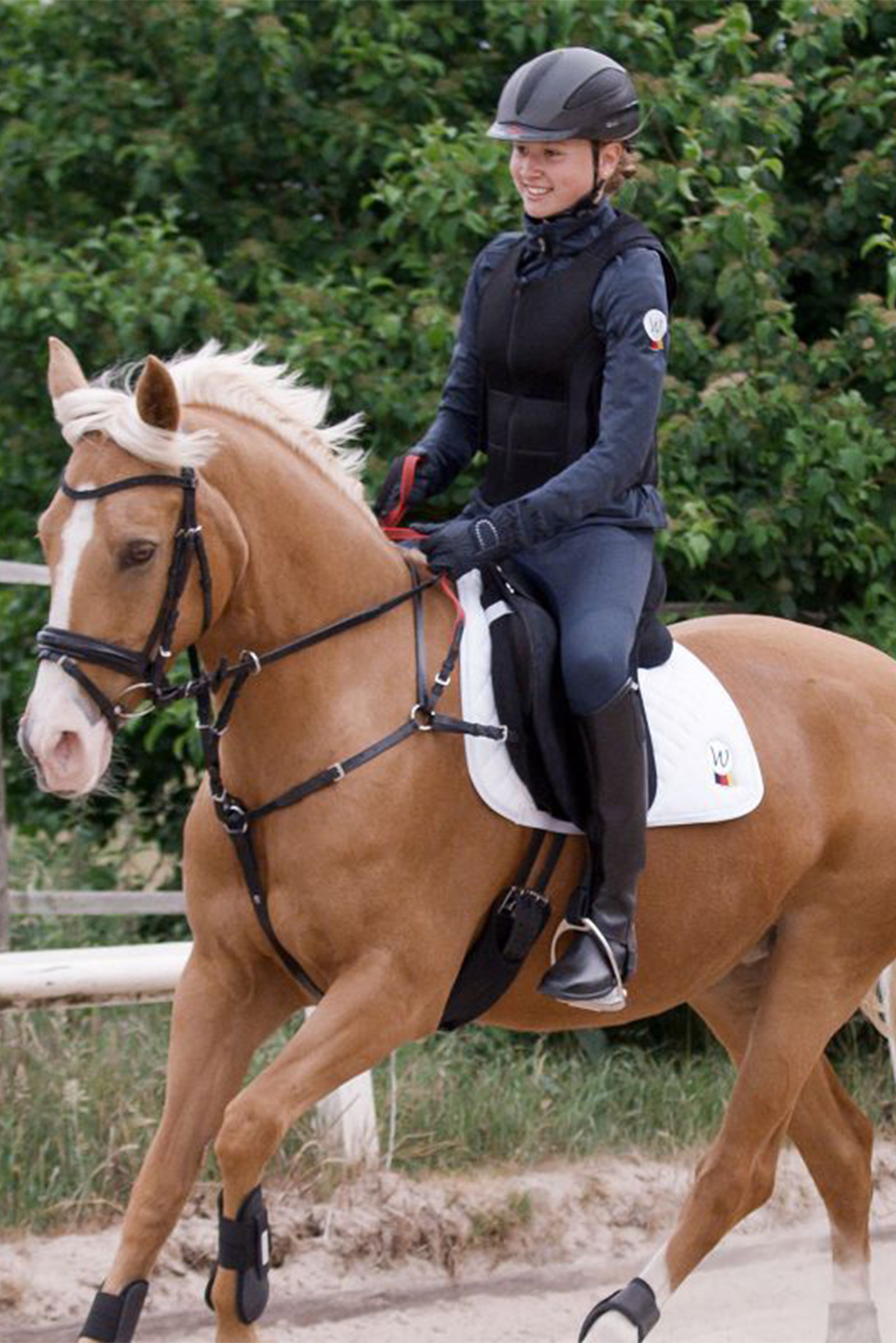 Waldhausen Secutrust Pettorale con redini di sicurezza