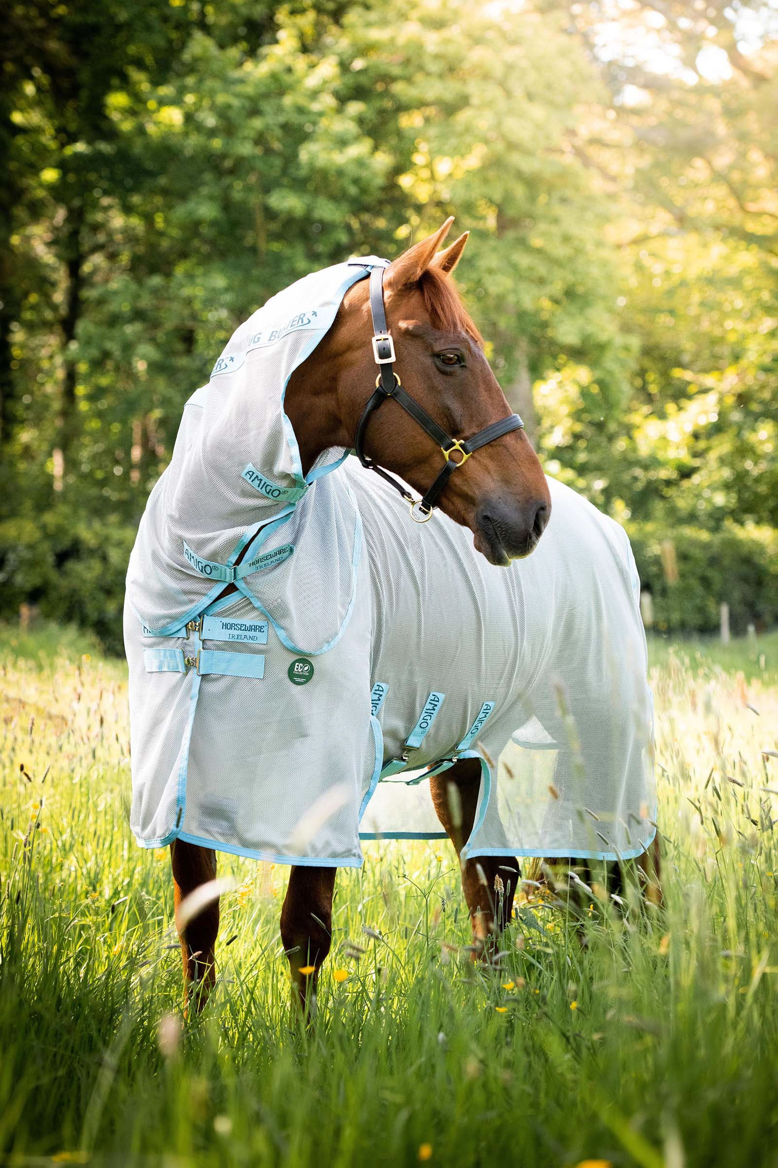 Horseware Amigo AmEco Bug Buster coperta antimosche con collo staccabile