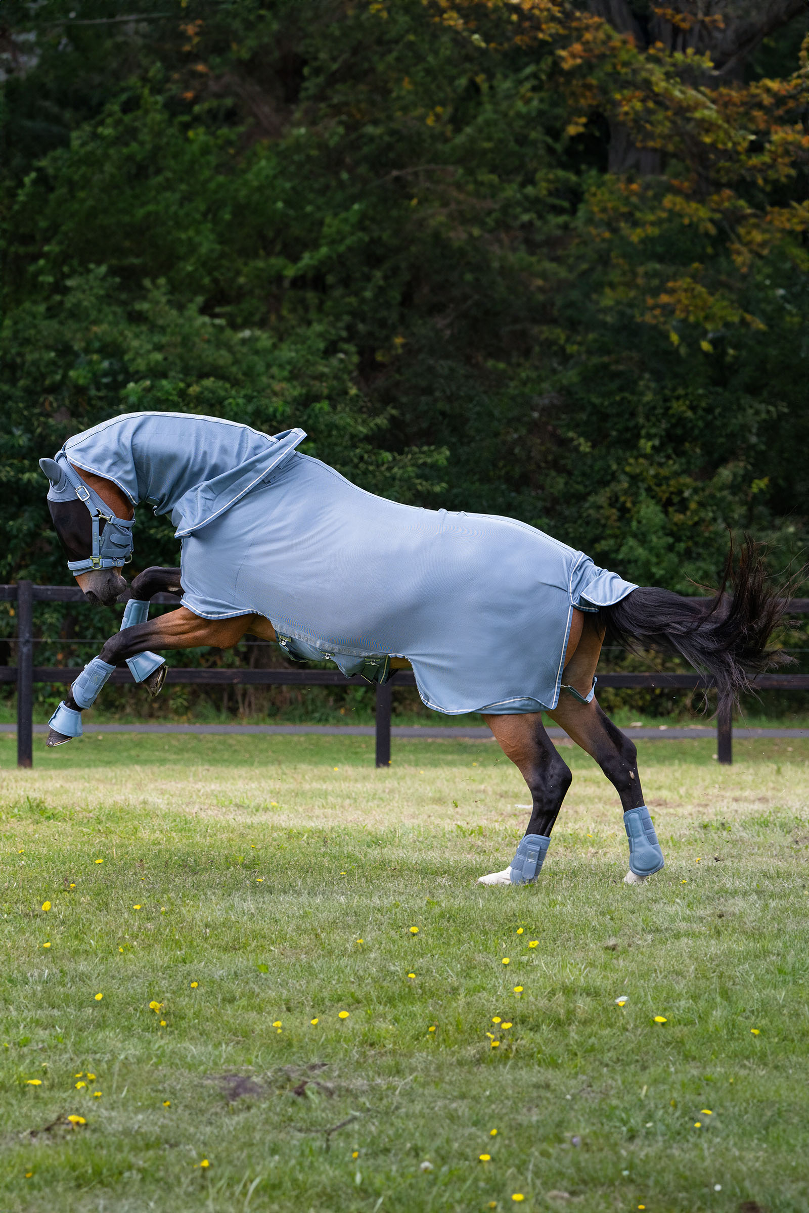 Eskadron Classic Sports SS25 Fly Detach-Neck coperta anti-mosche