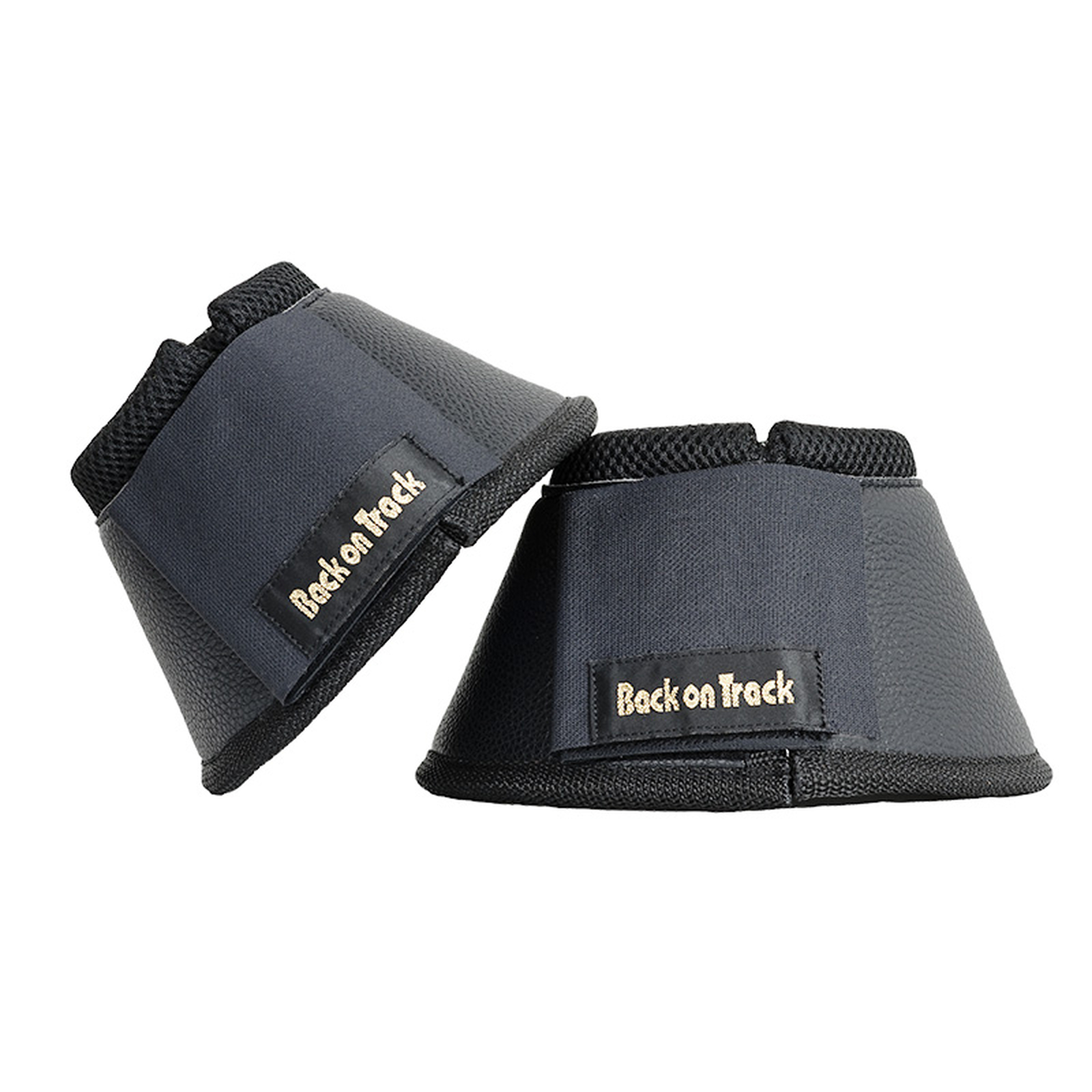 Back on Track Paraglomi