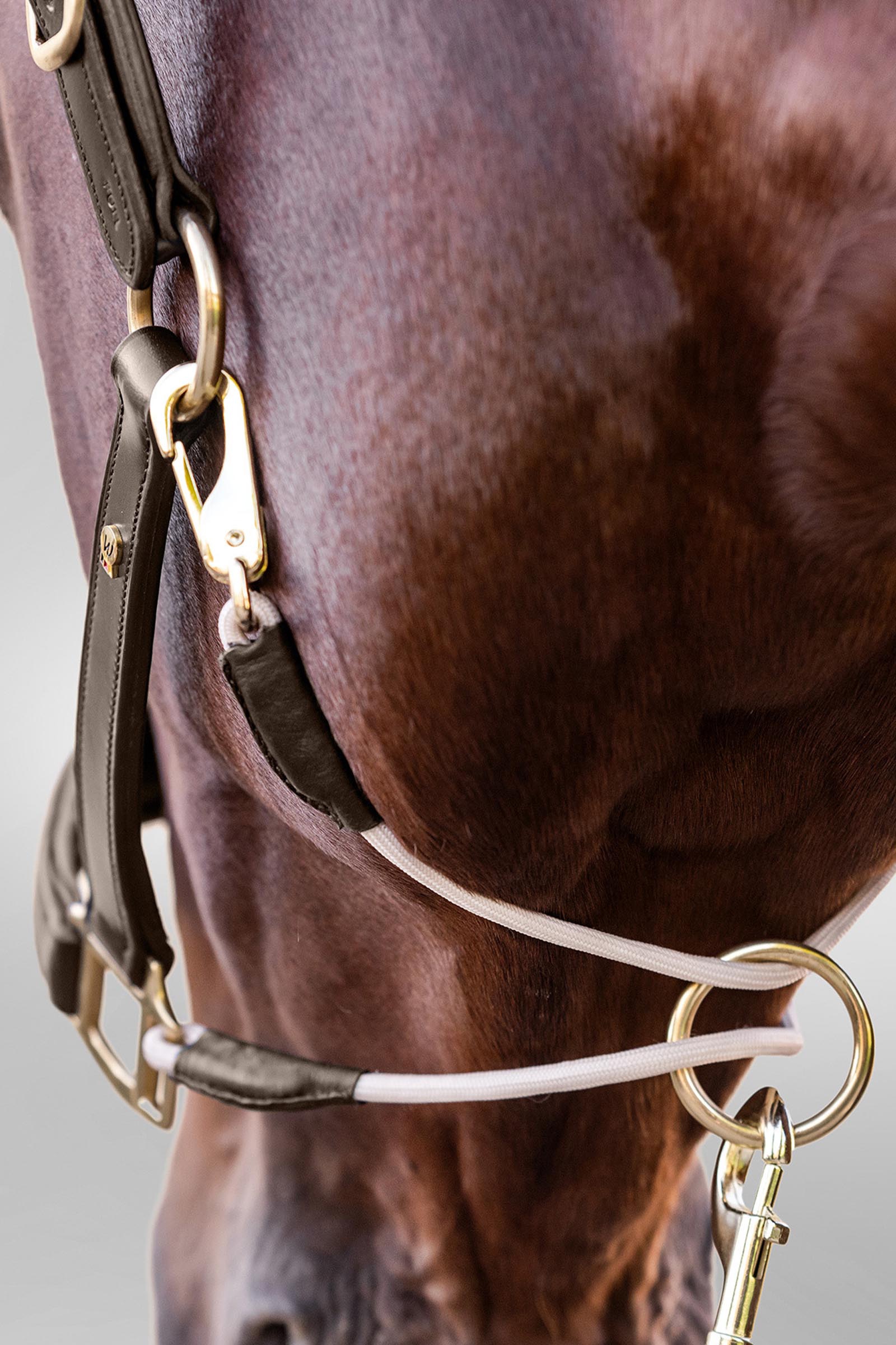 Royal Waldhausen S-Line capezza in pelle